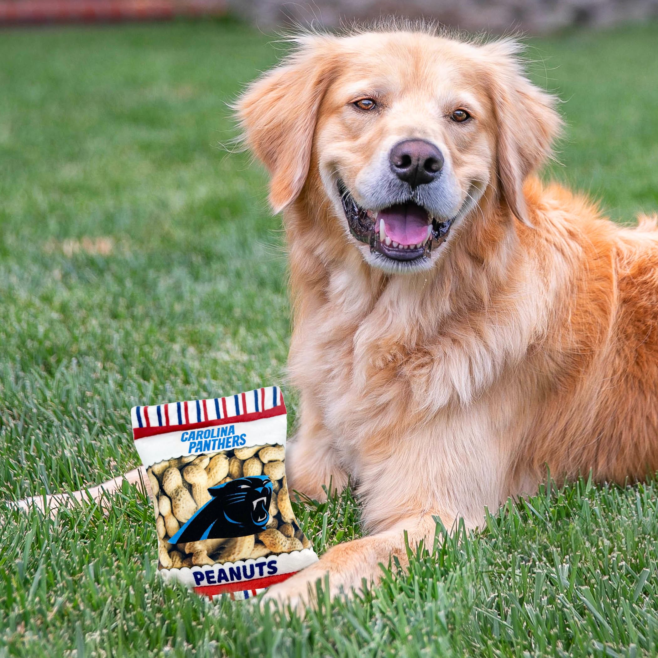 Pets First NFL Carolina Panthers Football Stadium Snax zestaw upominkowy, zestaw 3 zabawek dla psów z wewnętrznymi piszczałkami. Zabawki dla psów o tematyce piłkarskiej z logo drużyny NFL