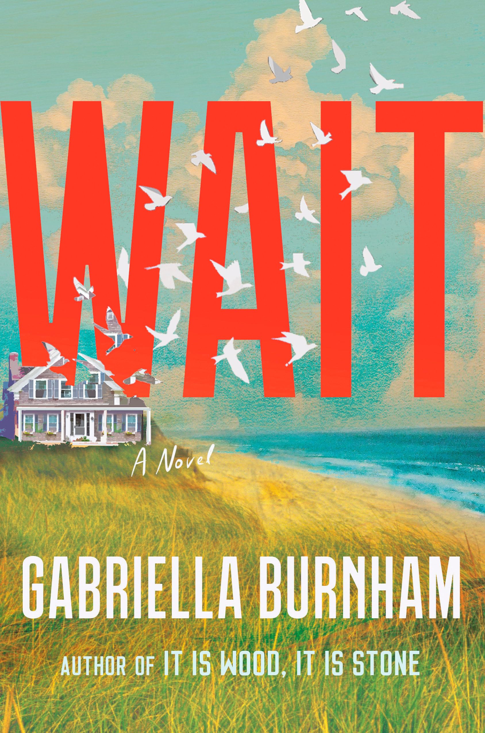 Wait: A Novel