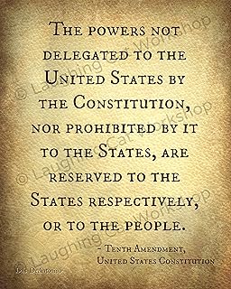 Tenth 10th amendment US Constitution art print Federal State Power Lawyer Attorney print America USA art Life Liberty Freedom civil rights History Back to School Poster
