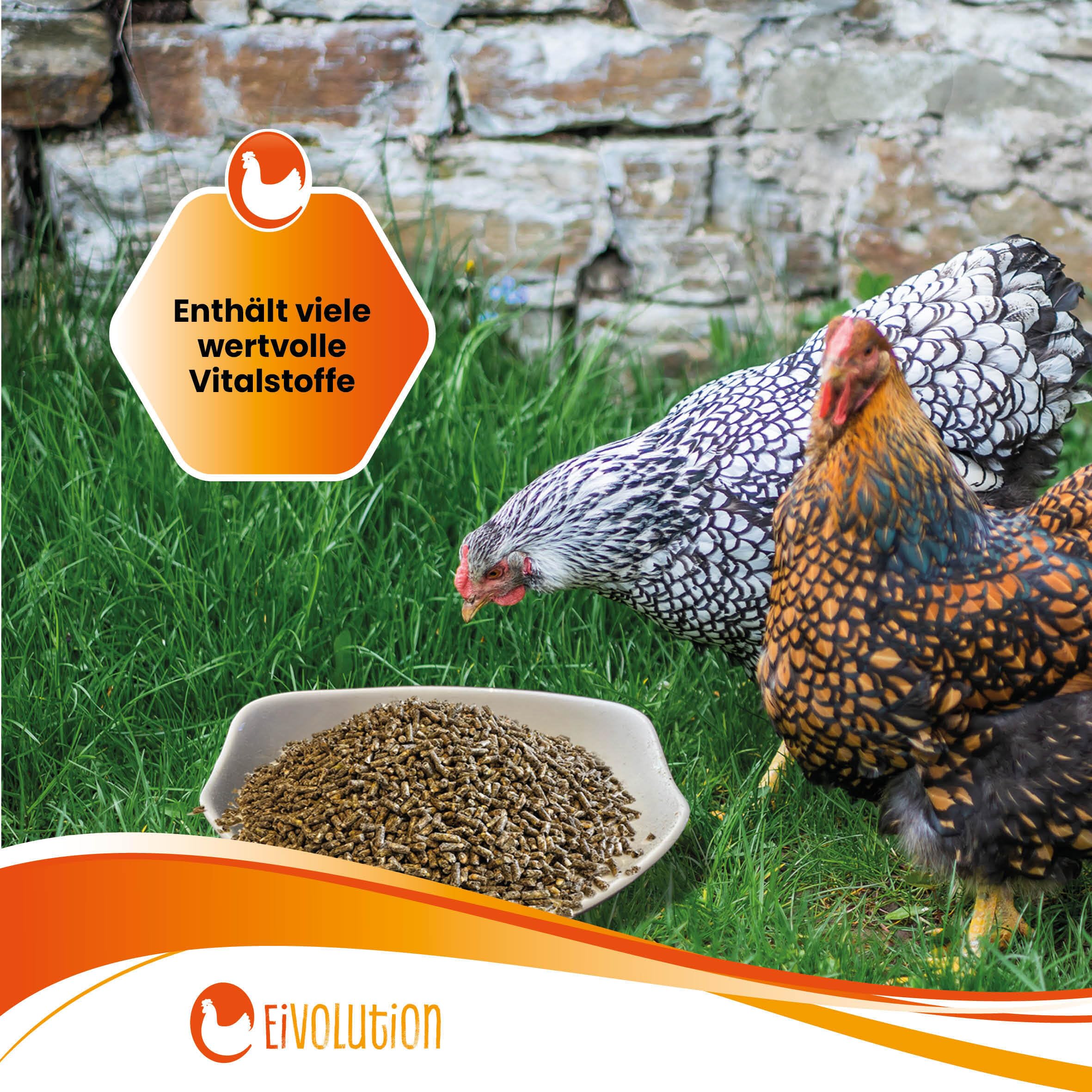 Bio-Hühnerfutter Pellets mit Oregano-Kräutermix 14 kg - Alleinfutter für Legehennen & Geflügel - Reich an Vitalstoffen - Kontrolliert ökologisch