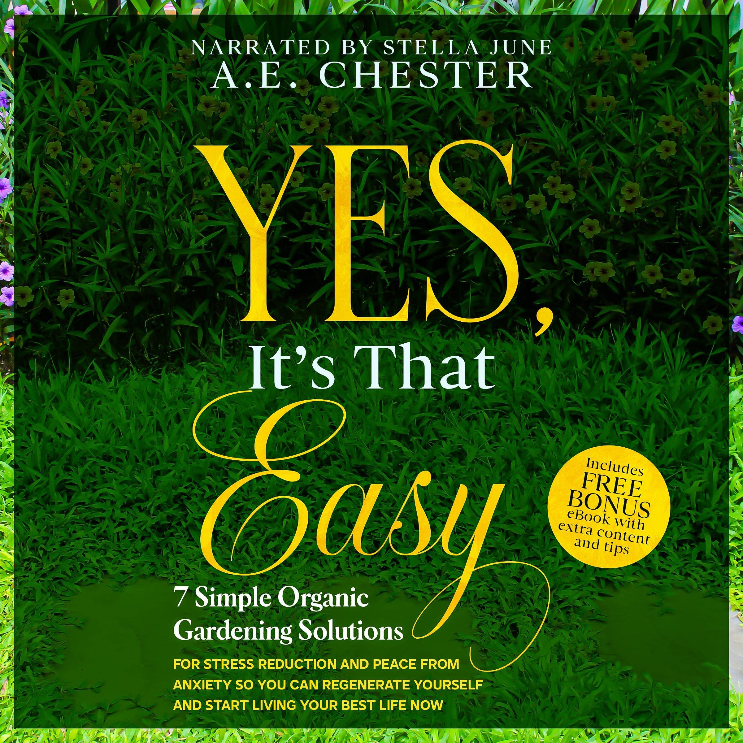 Cover art for Yes, It's That Easy
