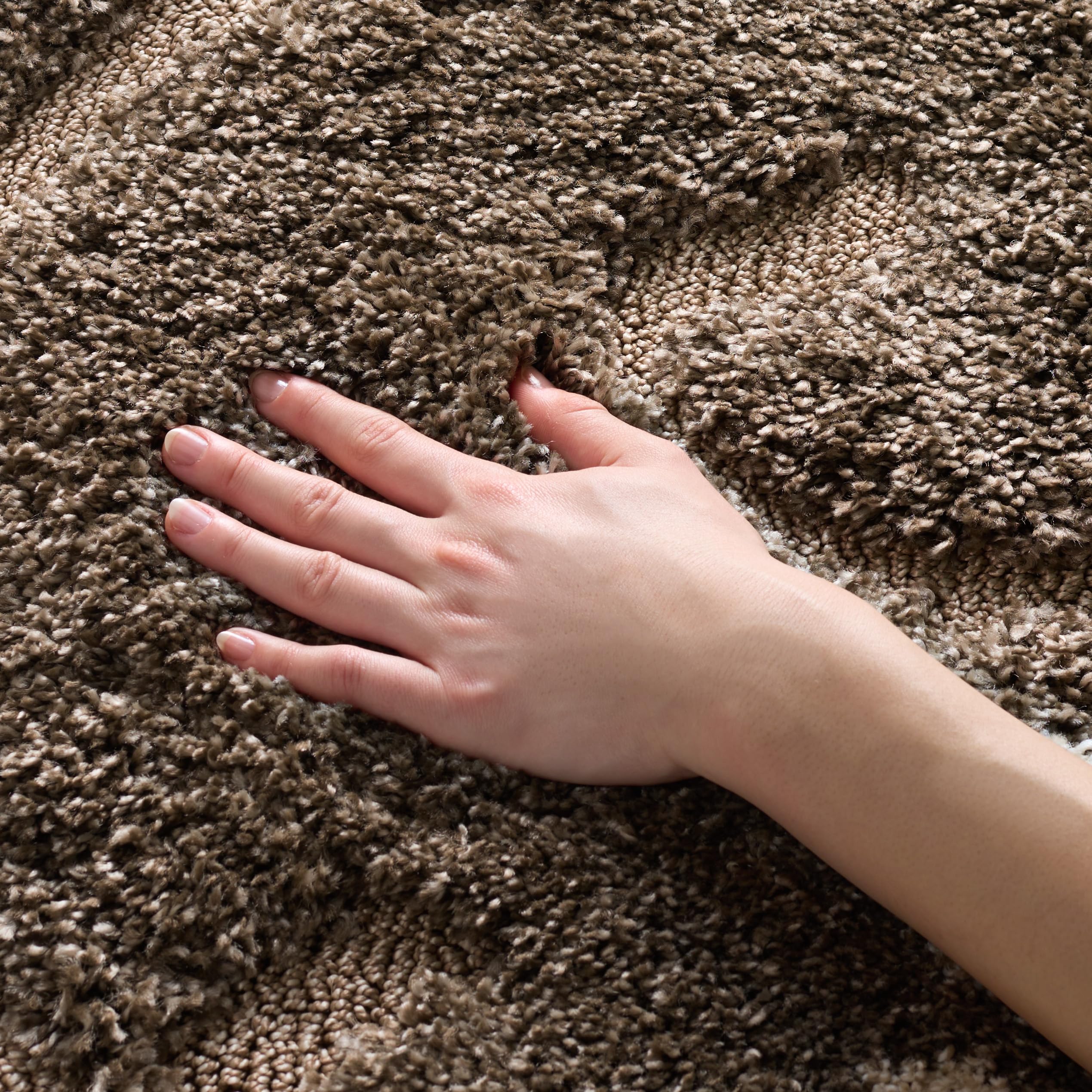 SAFAVIEH Florida Shag Collection Accent Rug - 4' x 6', Smoke & Beige, Floral Design, Non-Shedding & Easy Care, 1.2-inch Thick Ideal for High Traffic