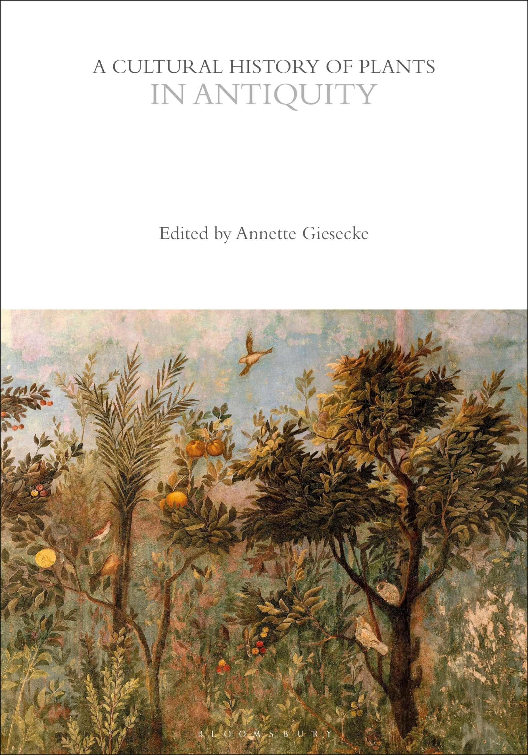 A Cultural History of Plants in Antiquity by Annette Giesecke - 9781350550537