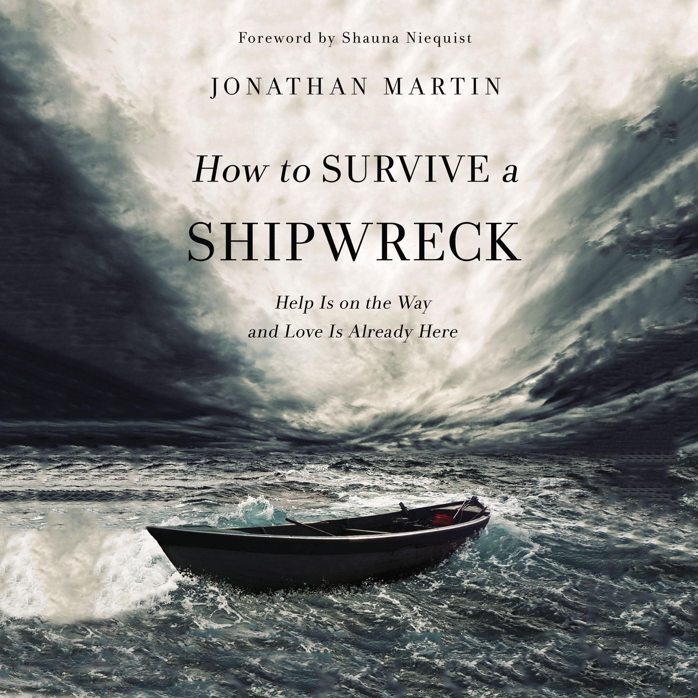 Cover art for How to Survive a Shipwreck
