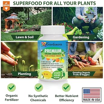 Gardenera Premium Kelp Concentrate for Citrus Trees - 24 oz - Amplify Fruit Size and Taste for a Satisfying Harvest