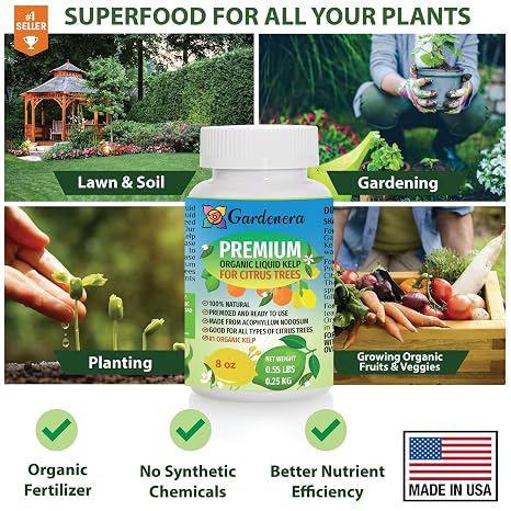 Gardenera Premium Kelp Concentrate for Citrus Trees - 24 oz - Amplify Fruit Size and Taste for a Satisfying Harvest