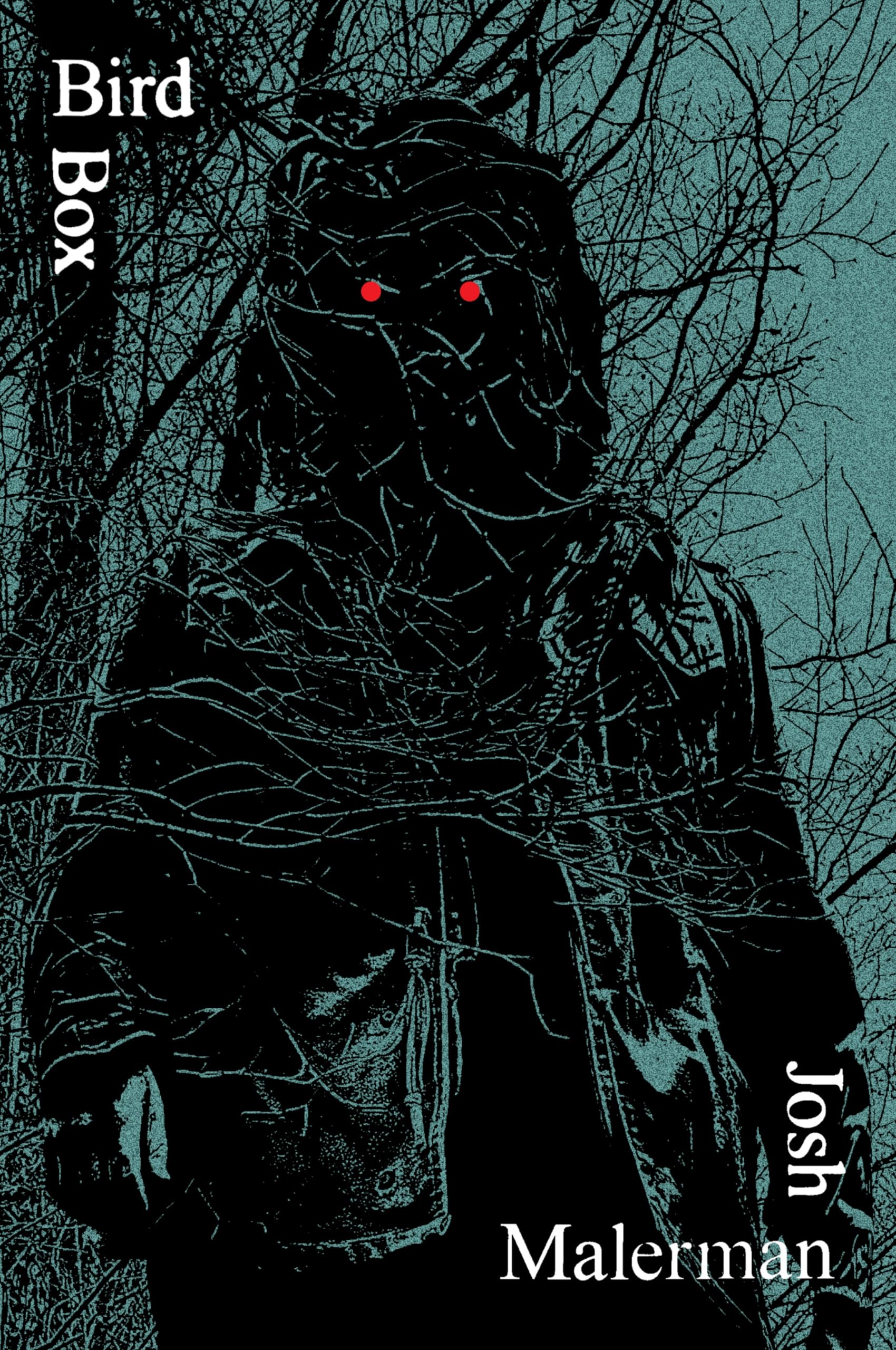 Bird Box: A Great Fall or Halloween Read