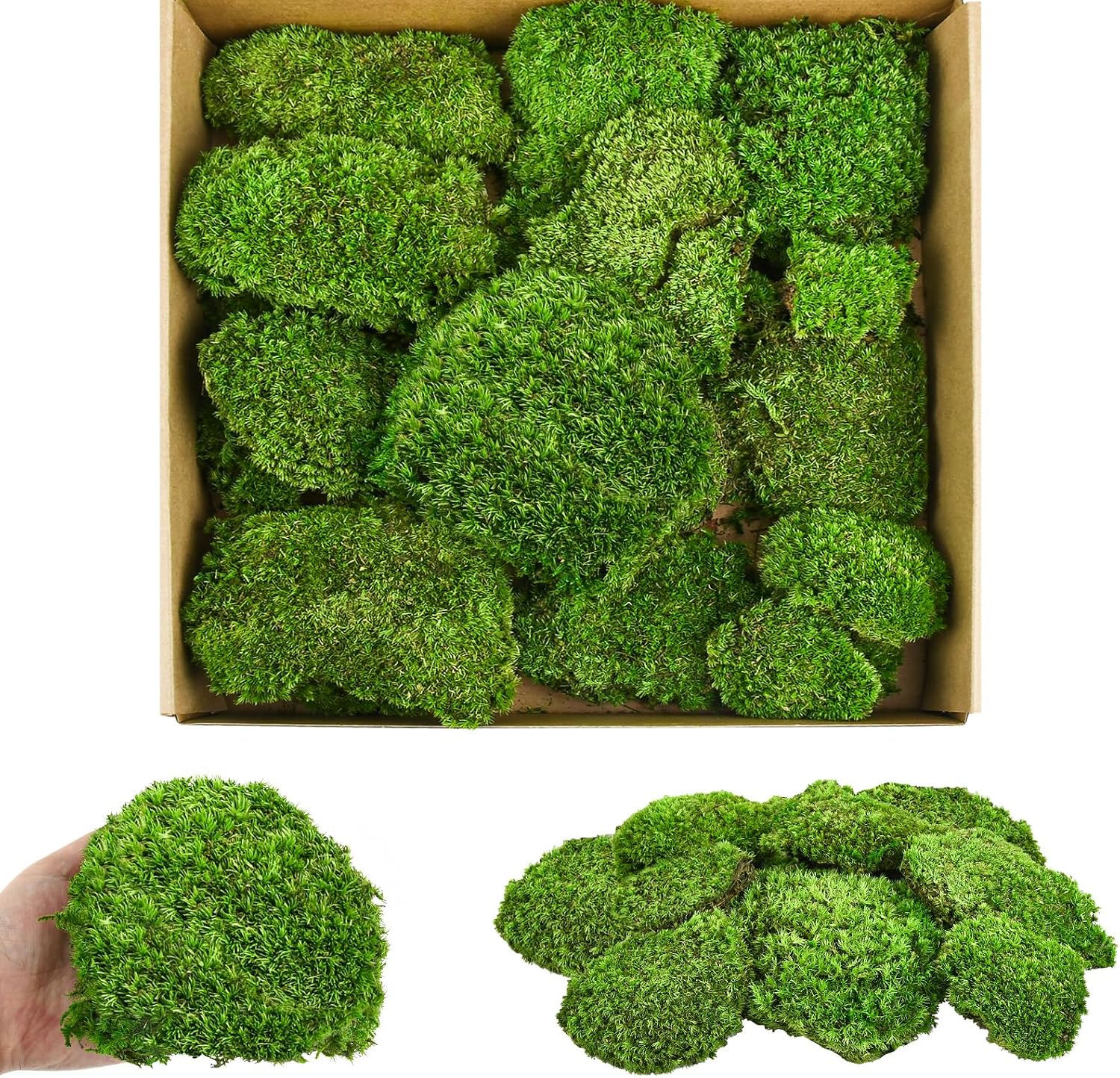 moss balls reserved plant pole moss cushion frame with moss - picture frame with ball moss and upholstery moss - moss pictures for your home - handmade moss wall as a unique wall decoration