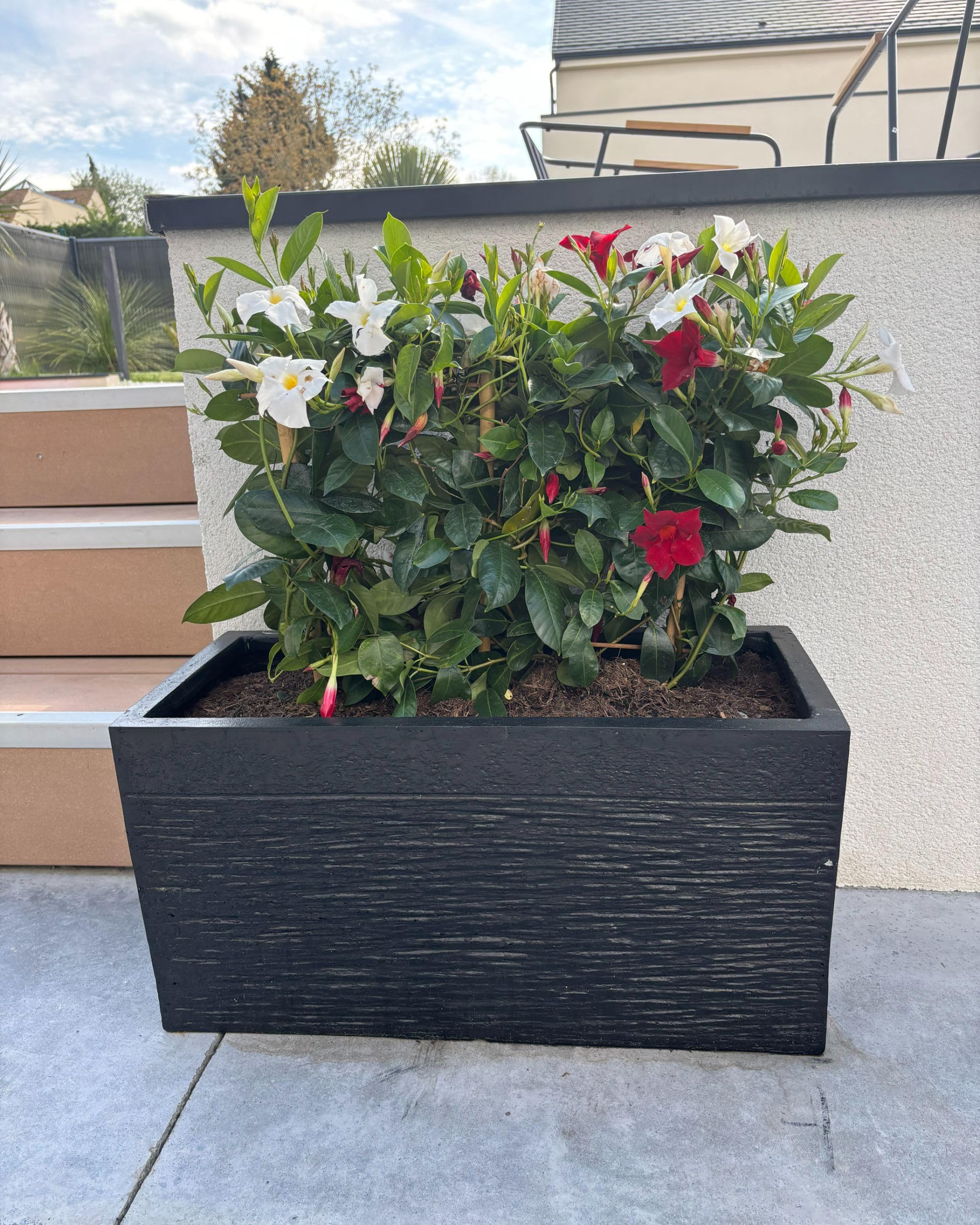 Doniczka ogrodowa gliniana prostokątna 60 x 30 cm czarna Myra