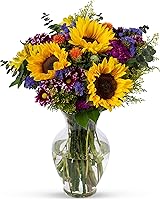 BENCHMARK BOUQUETS - Flowering Fields Bouquet, Prime Delivery, Free Vase, Farm Direct Fresh Flowers, Gift for...
