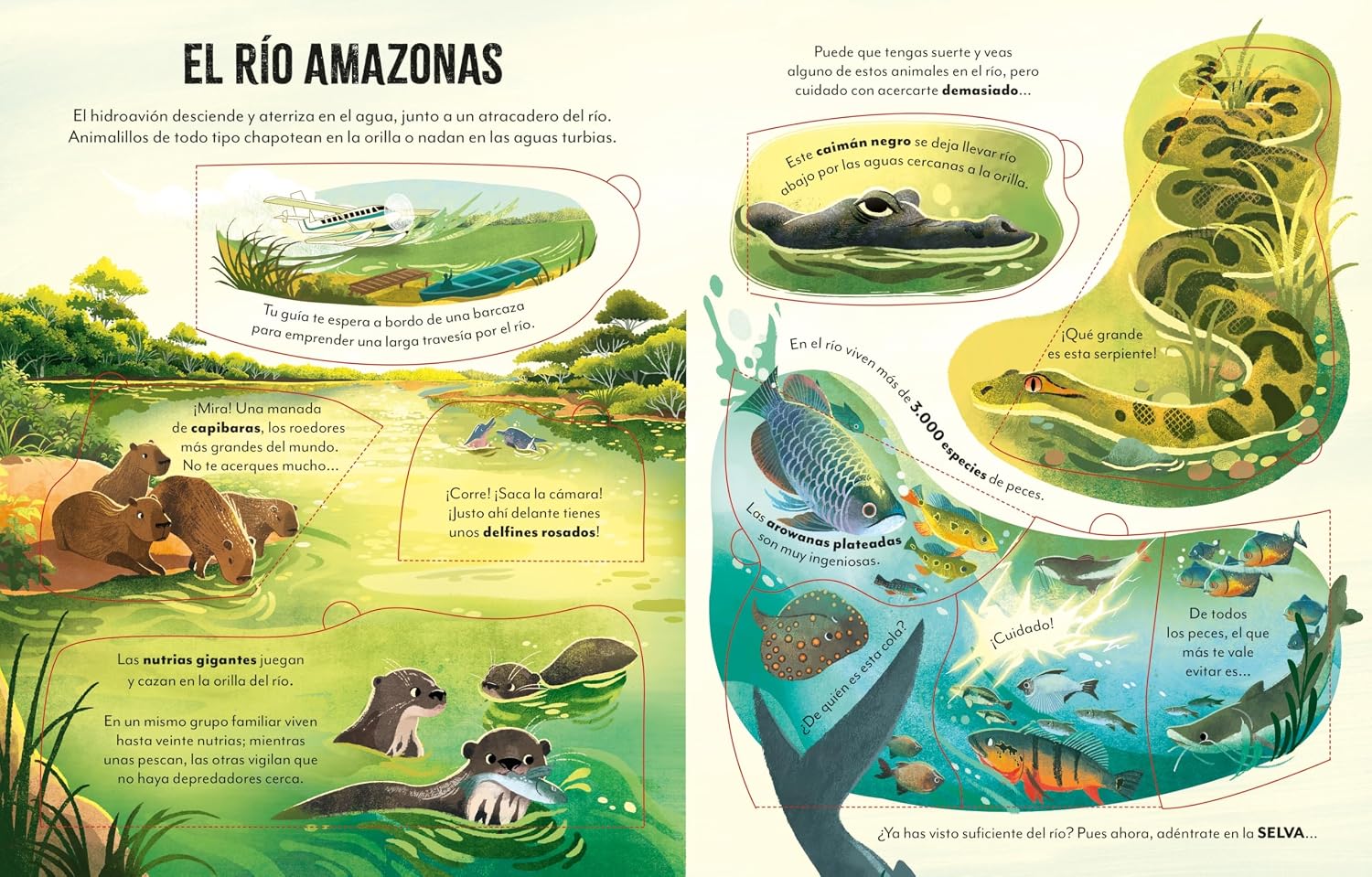 De viaje por el Amazonas