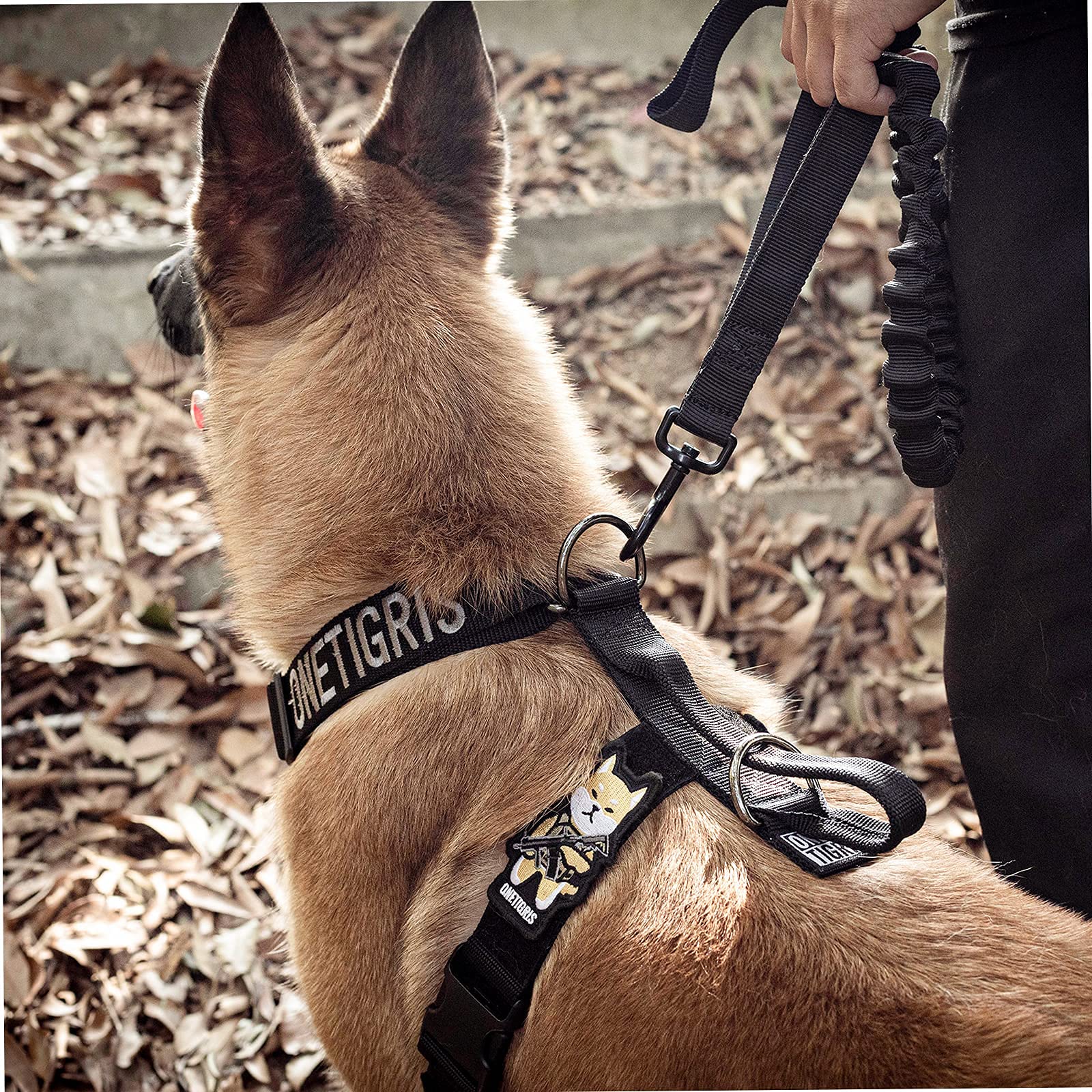 OneTigris Harnais Anti-Traction Goliath pour Chien avec poignée, Harnais Tactique réglable pour Chiens, Chiots, Chasse, randonnée, Dressage, Marche, activités de Plein air (Noir, M)
