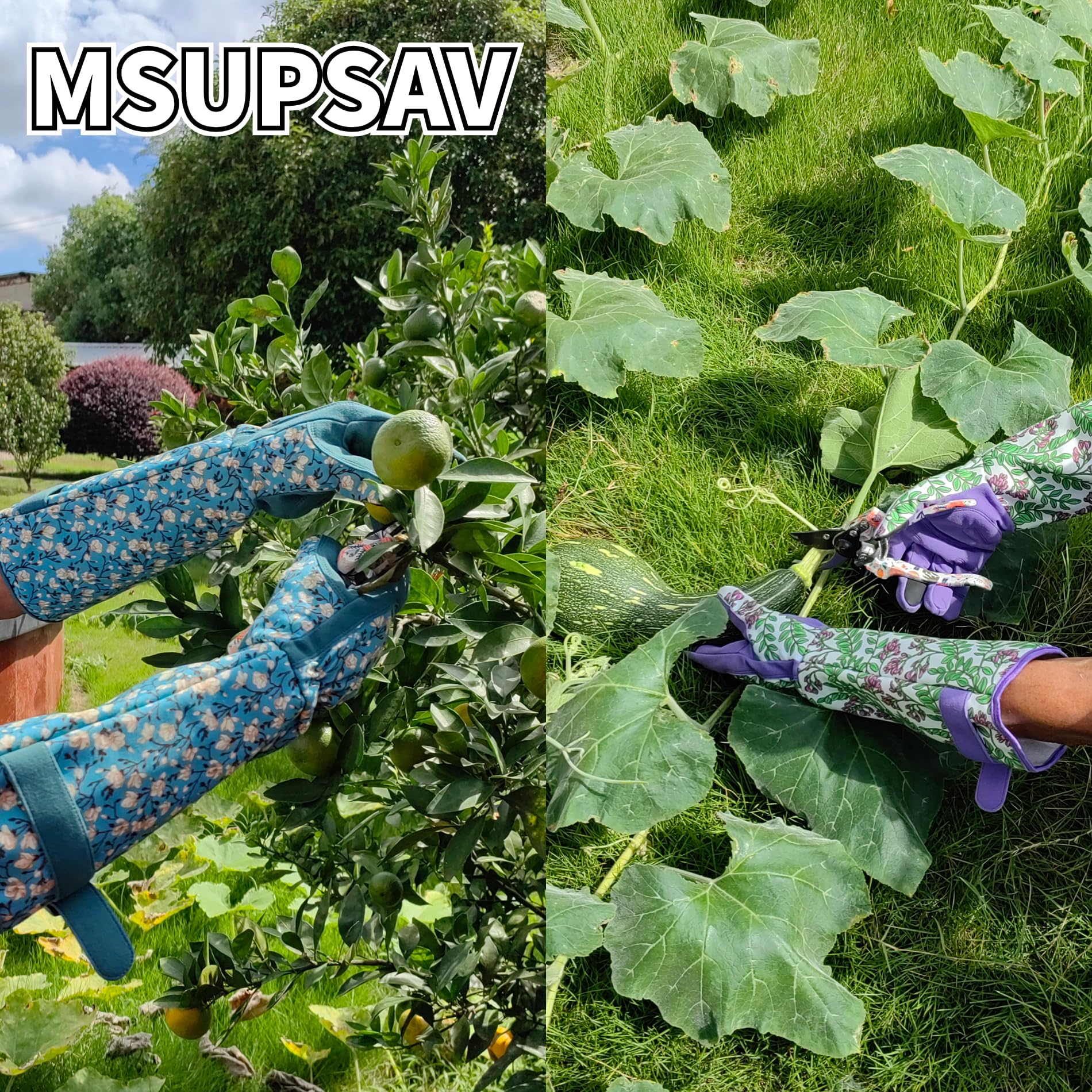 Guanti da giardino resistenti alle spine, guanti da giardino durevoli, guanti da rosa, guanti da cactus, guanti da lavoro per potatura di rose, regali di compleanno e migliori regali, M, viola