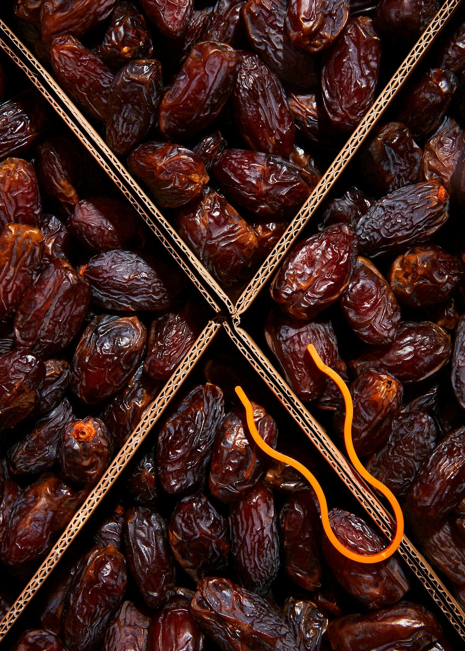 KoRo - Datteri Medjoul JUMBO CHOICE con nocciolo, KoRo | 5 kg