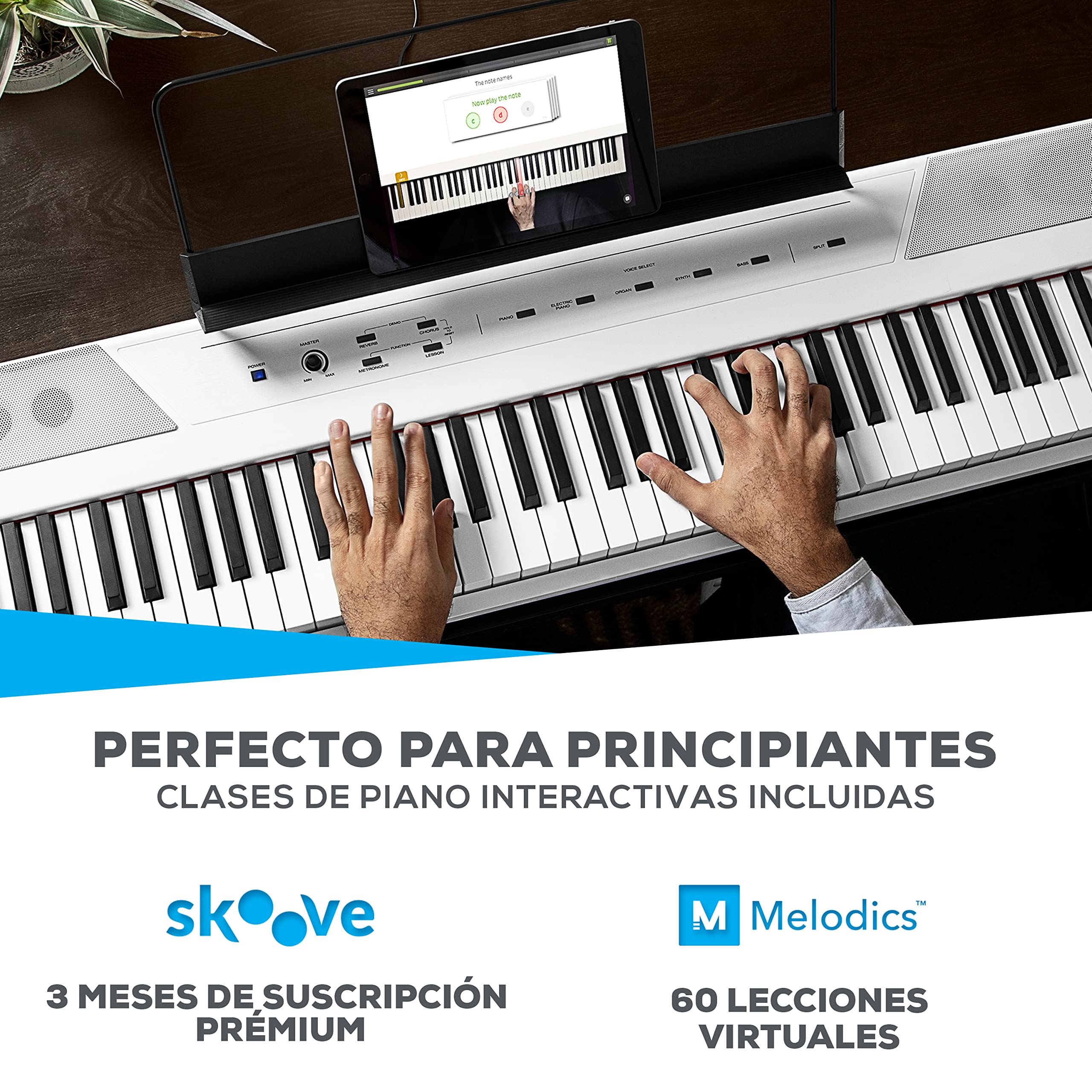 Alesis Recital White + pedal de sostenido ASP-1 MKII - Teclado de Piano Digital Eléctrico con 88 Teclas Semipesadas de Tamaño Completo, color blanco con pedal de sostenido