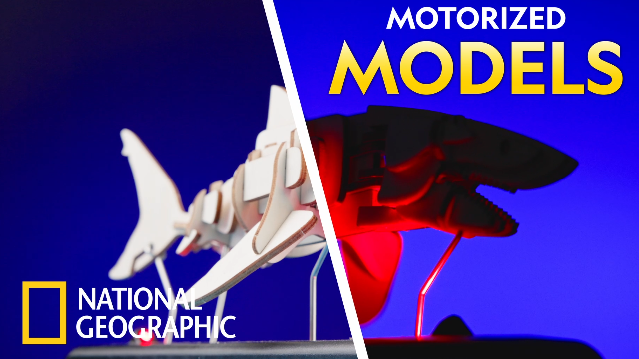 Amazon.com: National Geographic Motorized Shark 3D Puzzle - 45