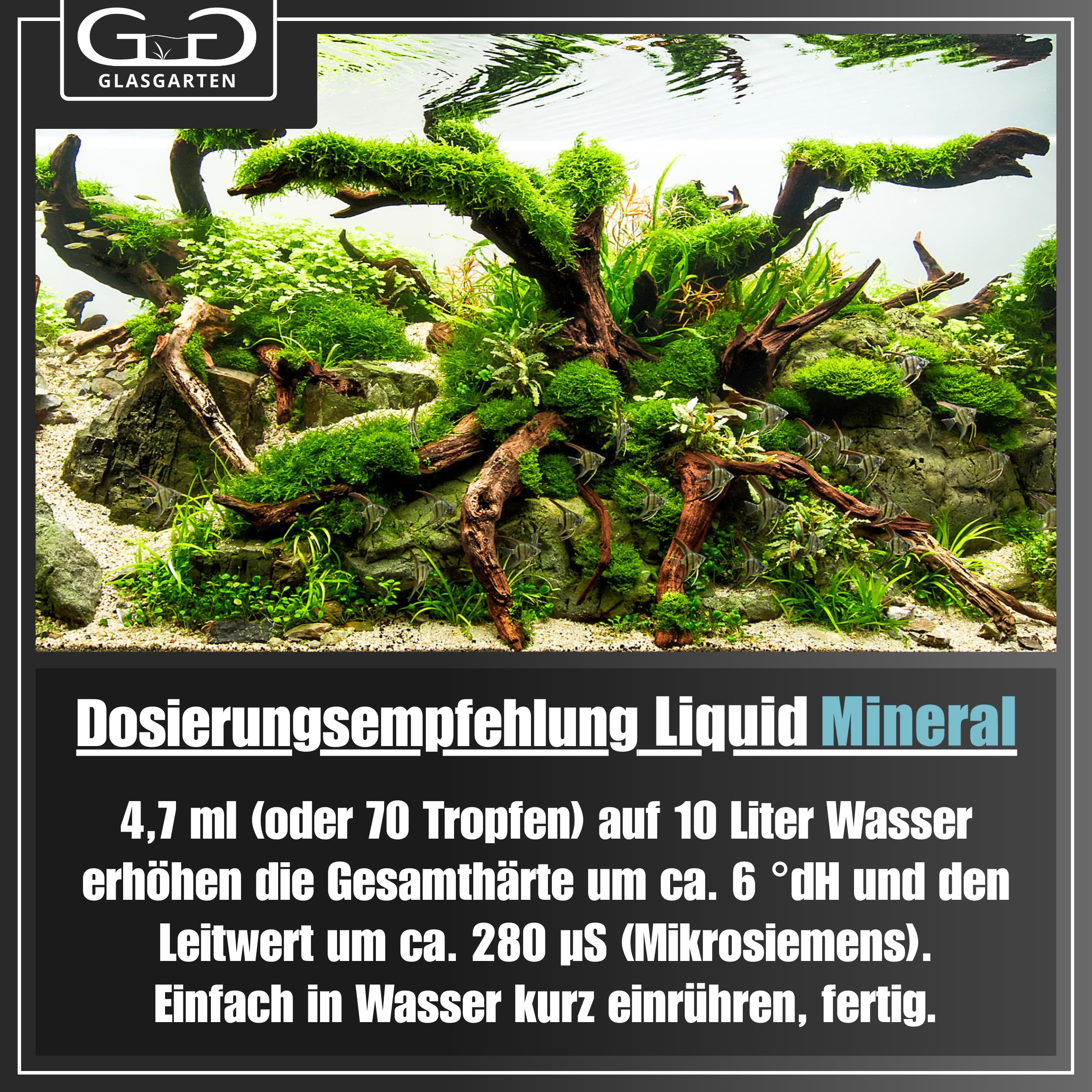 GlasGarten Liquid Mineral GH+ | 1 L/ 1000ml – flüssiges Mineralsalz zur Aufbereitung & Remineralisierung von Osmosewasser, Regenwasser, weichem Leitungswasser & vollentsalztem Wasser