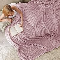 Vista 346 de Bedsure GentleSoft Twin Blanket for Couch - Cozy Soft Blankets for Women, Cute Small Fleece Throws for Girls, Light Grey, 60x80 Inches