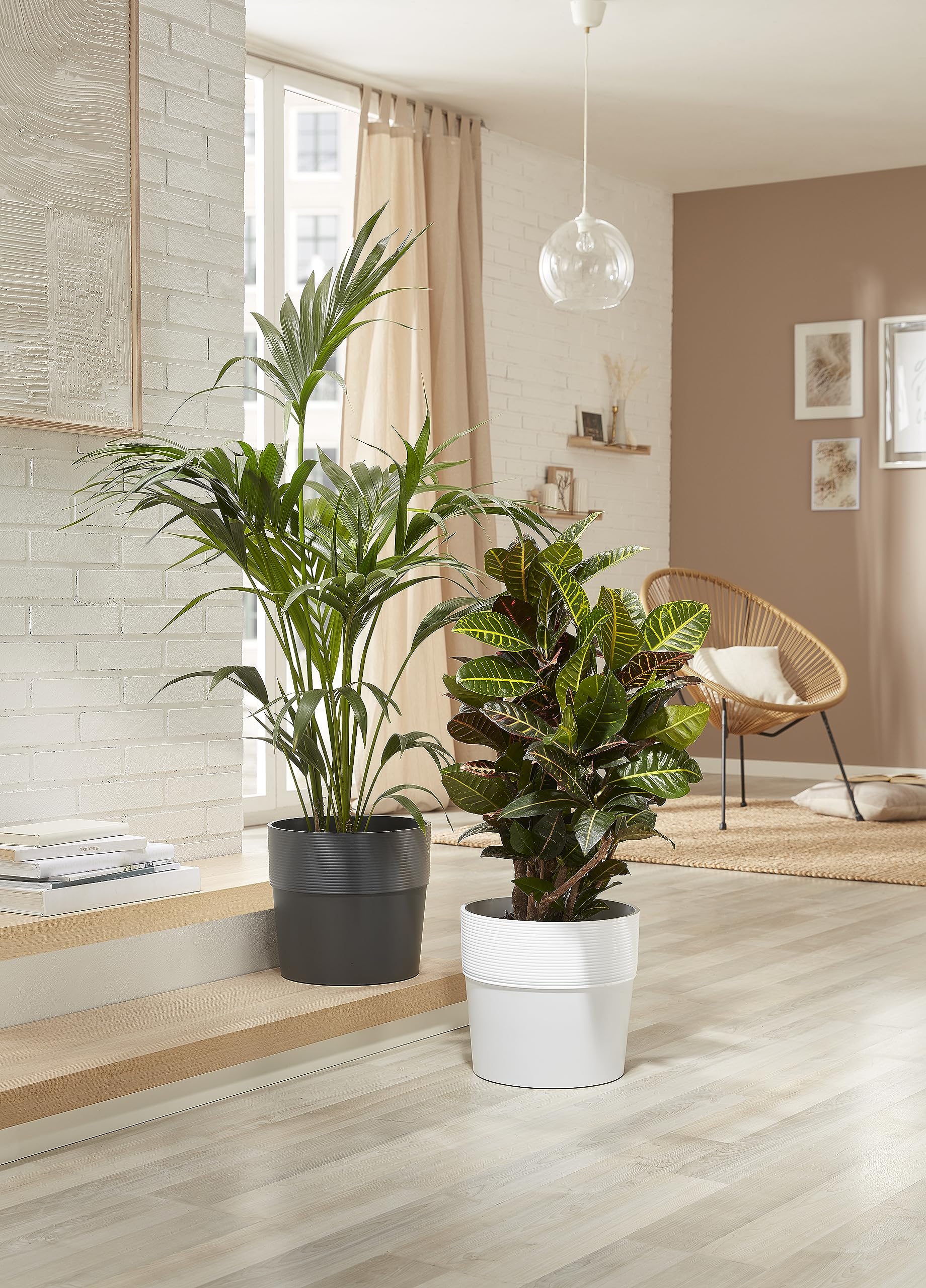 Scheurich Groove 40 - Vaso rotondo per piante, colore: carbonio, realizzato con plastica riciclata, per interni