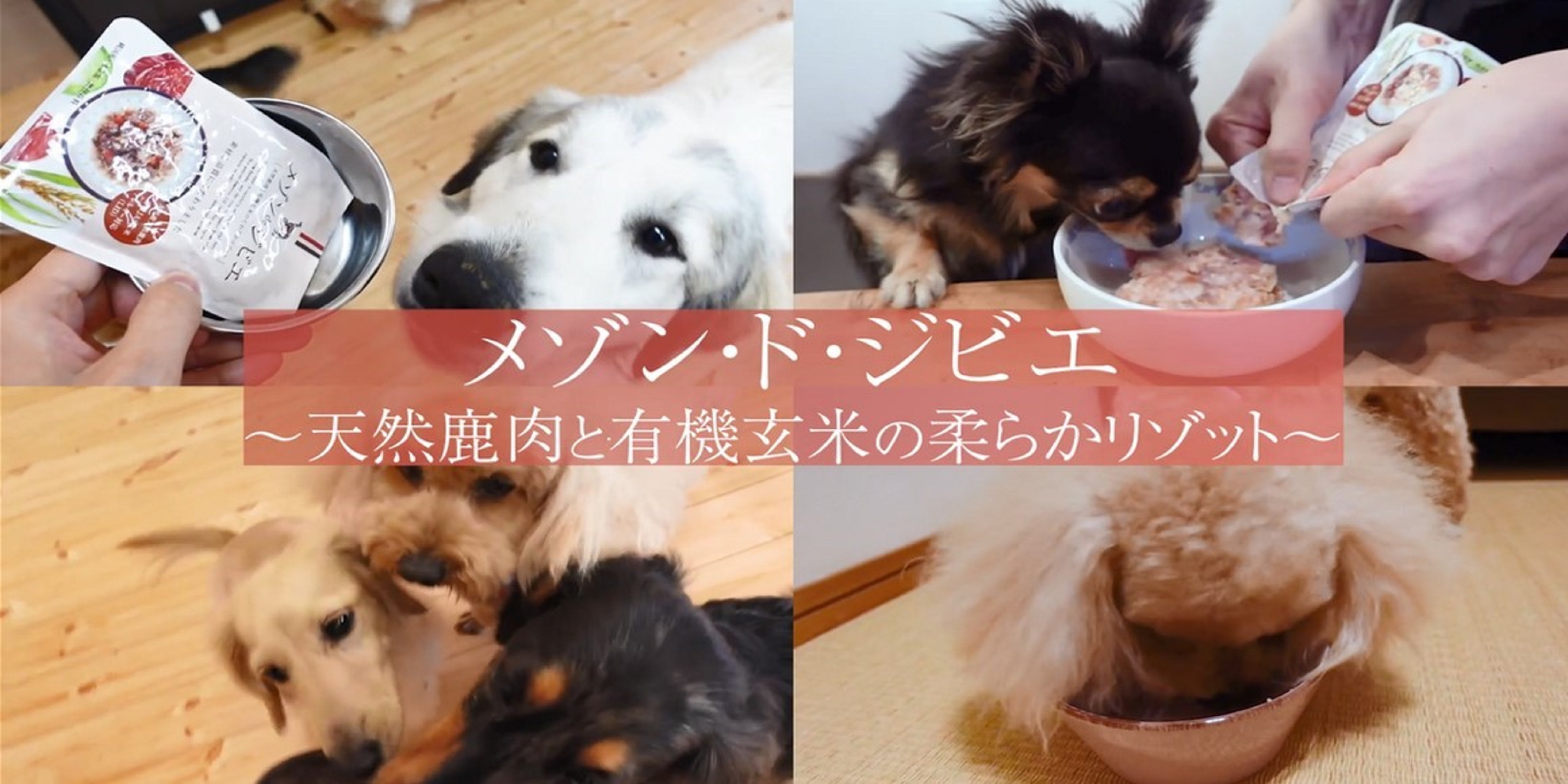 Amazon.co.jp: 【涙やけ・食いつきに悩む愛犬に】国産鹿肉と有機玄米の