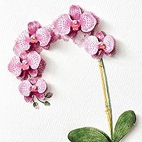 Vista 4 de Hallmark Signature Birthday Card for Her (Orchid)