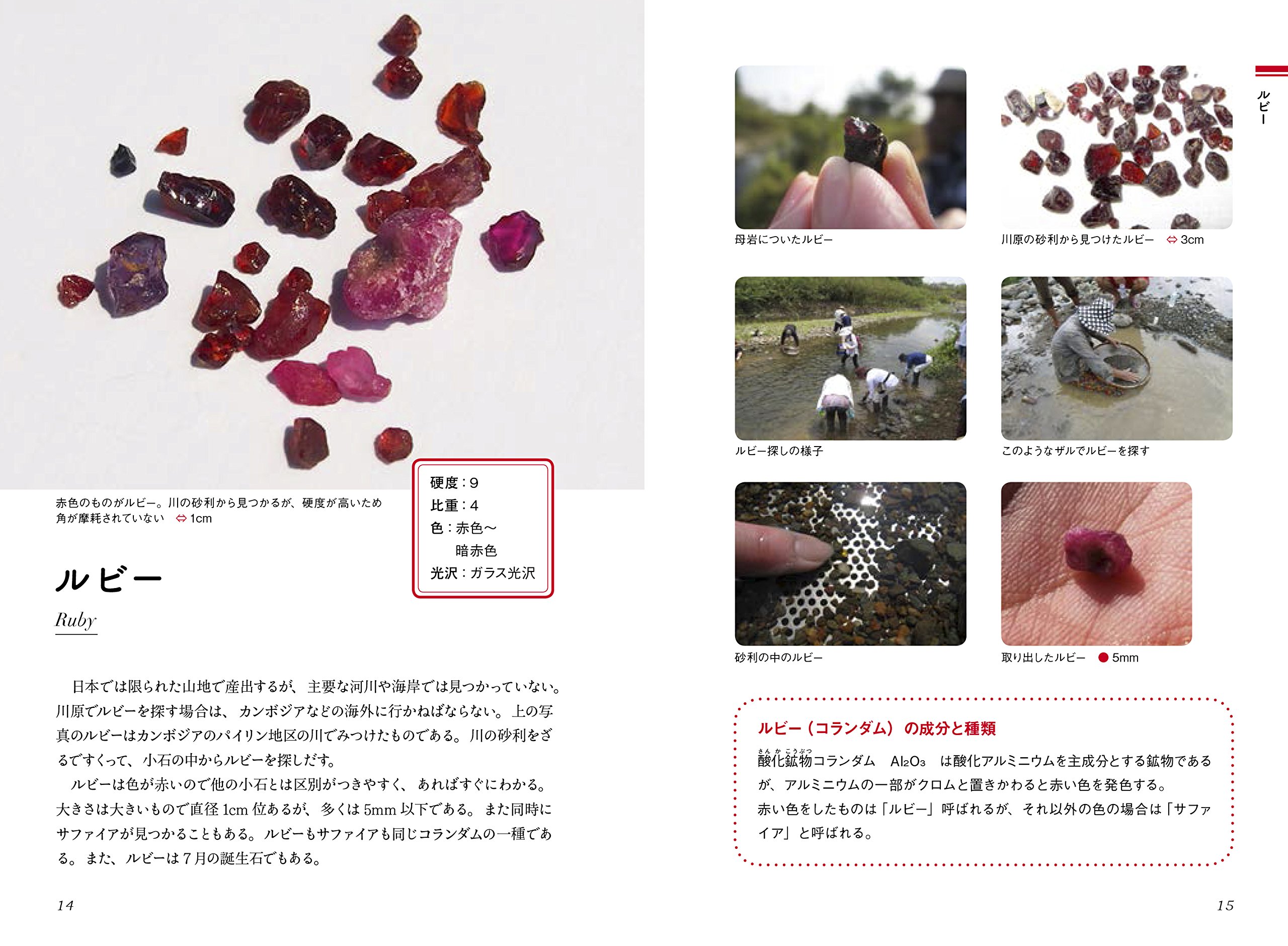 ひとりで探せる 川原や海辺のきれいな石の図鑑 柴山 元彦 本 通販 Amazon