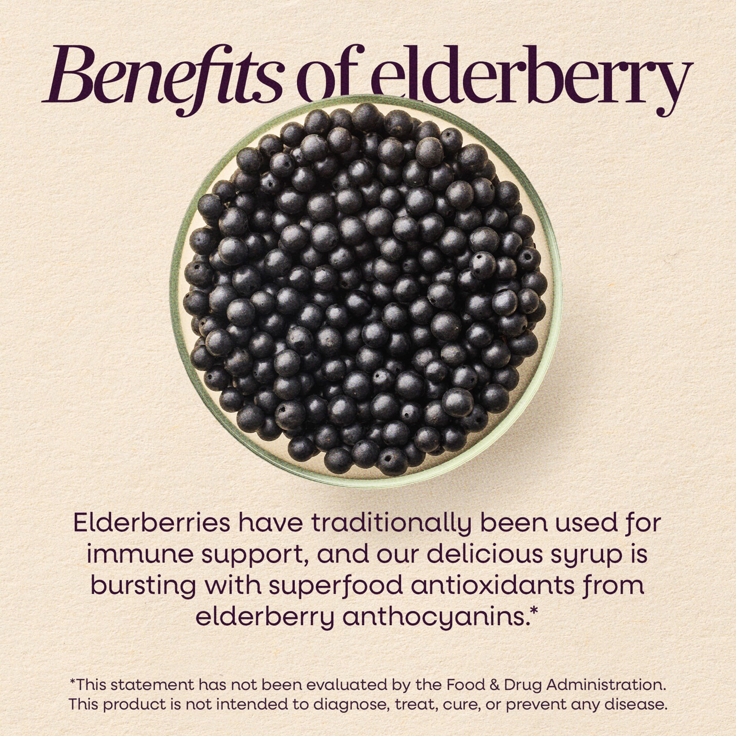 Nature's Way Sambucus Traditional Elderberry Immune Support* Syrup, 8 fl oz — Amazon image 5