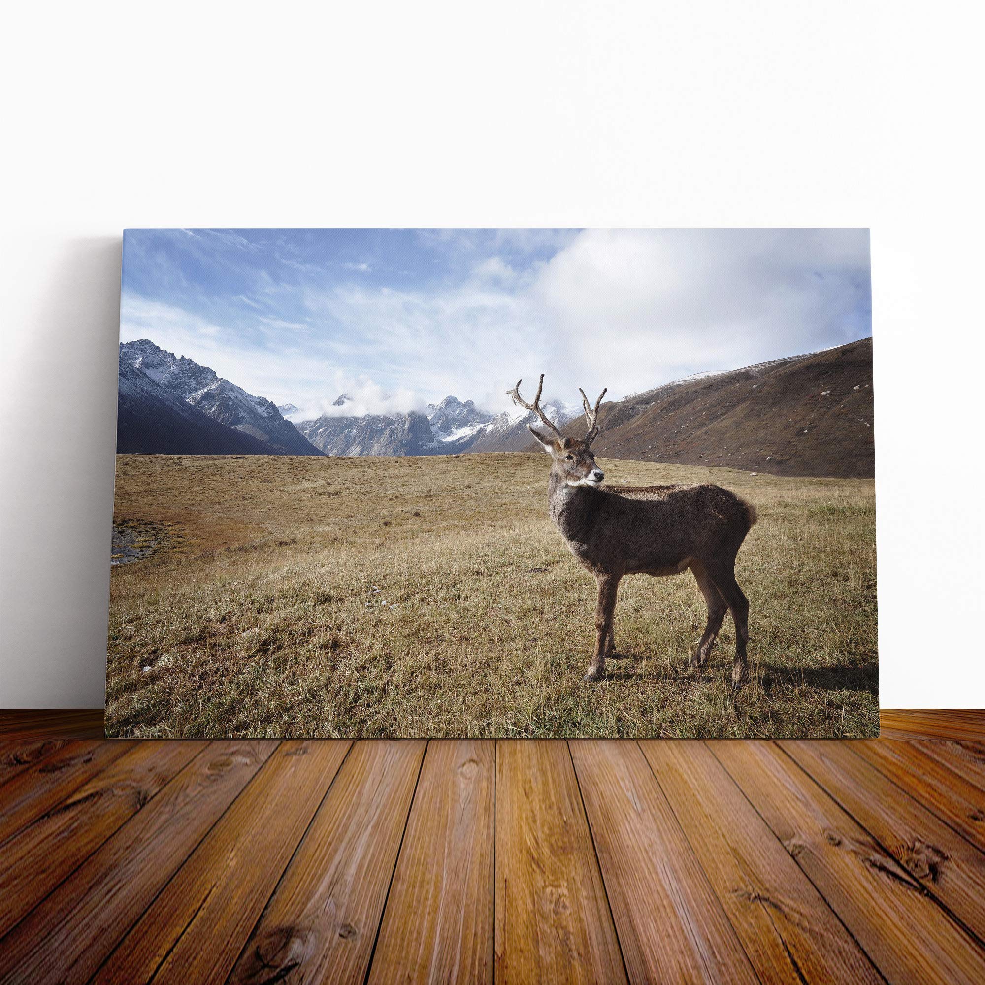 Stag Deer Mountain Landscape Canvas Print | Gallery Wrapped 30mm Frame Wall Art | 30x20 inches | Ready to Hang | Modern Animals Picture | Living Room Bedroom Lounge Office