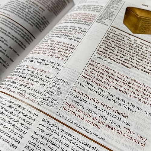 Miniatura 6 de Personalized NIV Study Bible, Brown and Blue, Hand Illustrated & Laser Engraved, Custom Name Engraving Available, Personalized Gift for Birthday,