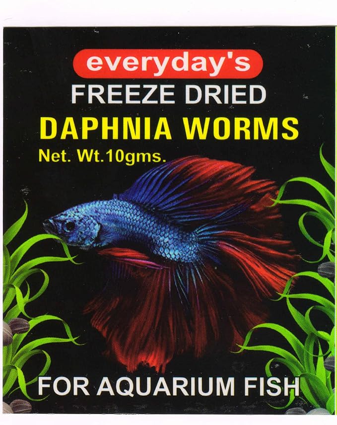 EVERYDAY's All Life Stages Dried Daphnia Worms Powder for Betta, Gold, Tetra and Marine Fishes - (10 Gms)