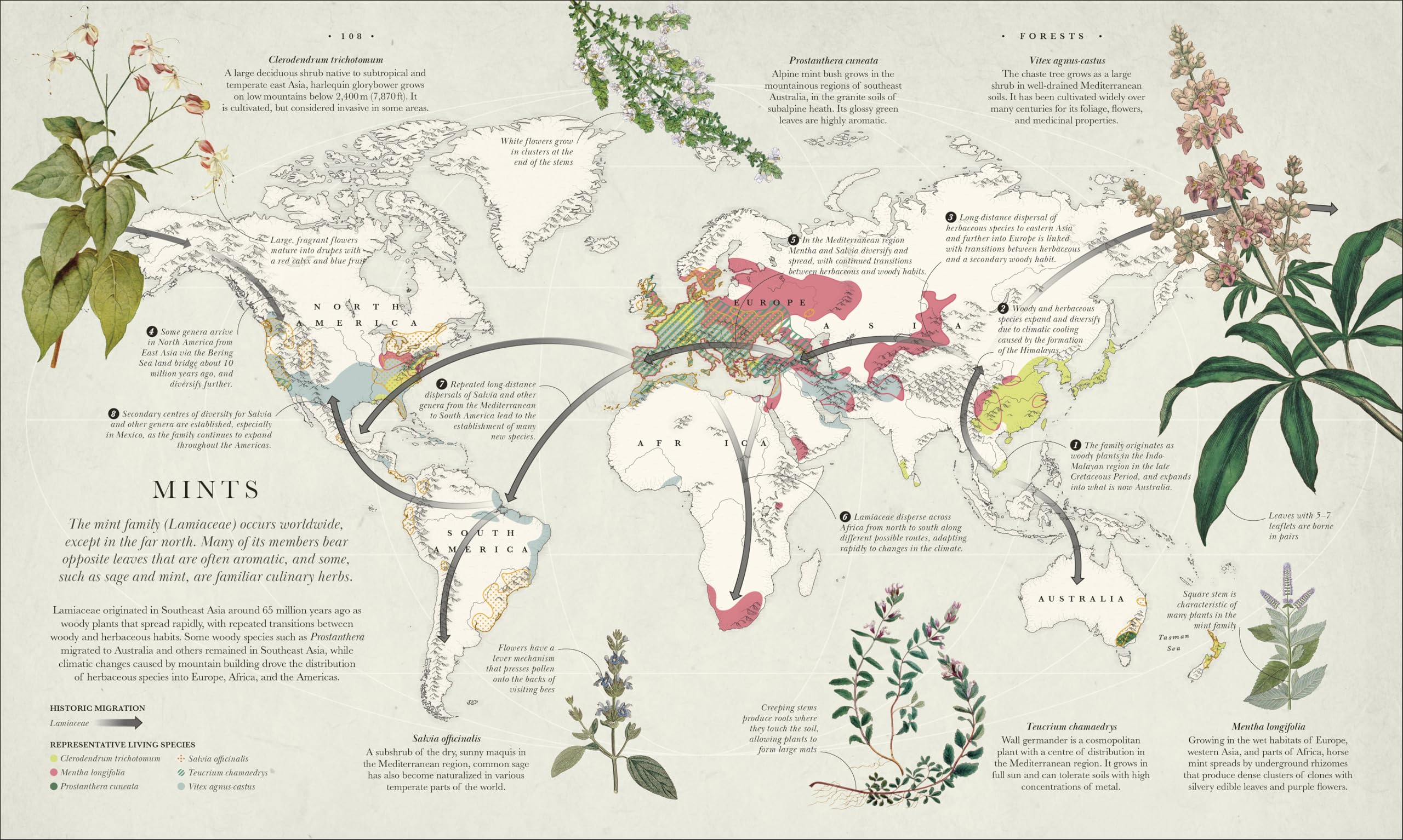 Atlas of Botany: An Exploration of Plants Across Time and Around the World