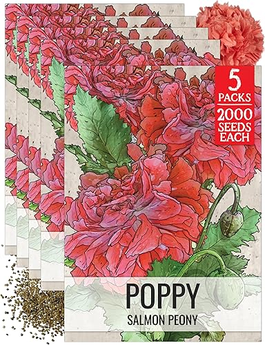Miniatura 24 de Seed Needs Semillas mixtas de amapola de peonía para plantar, reliquia y polinizada abierta, mezcla colorida para plantar un jardín de mariposas al