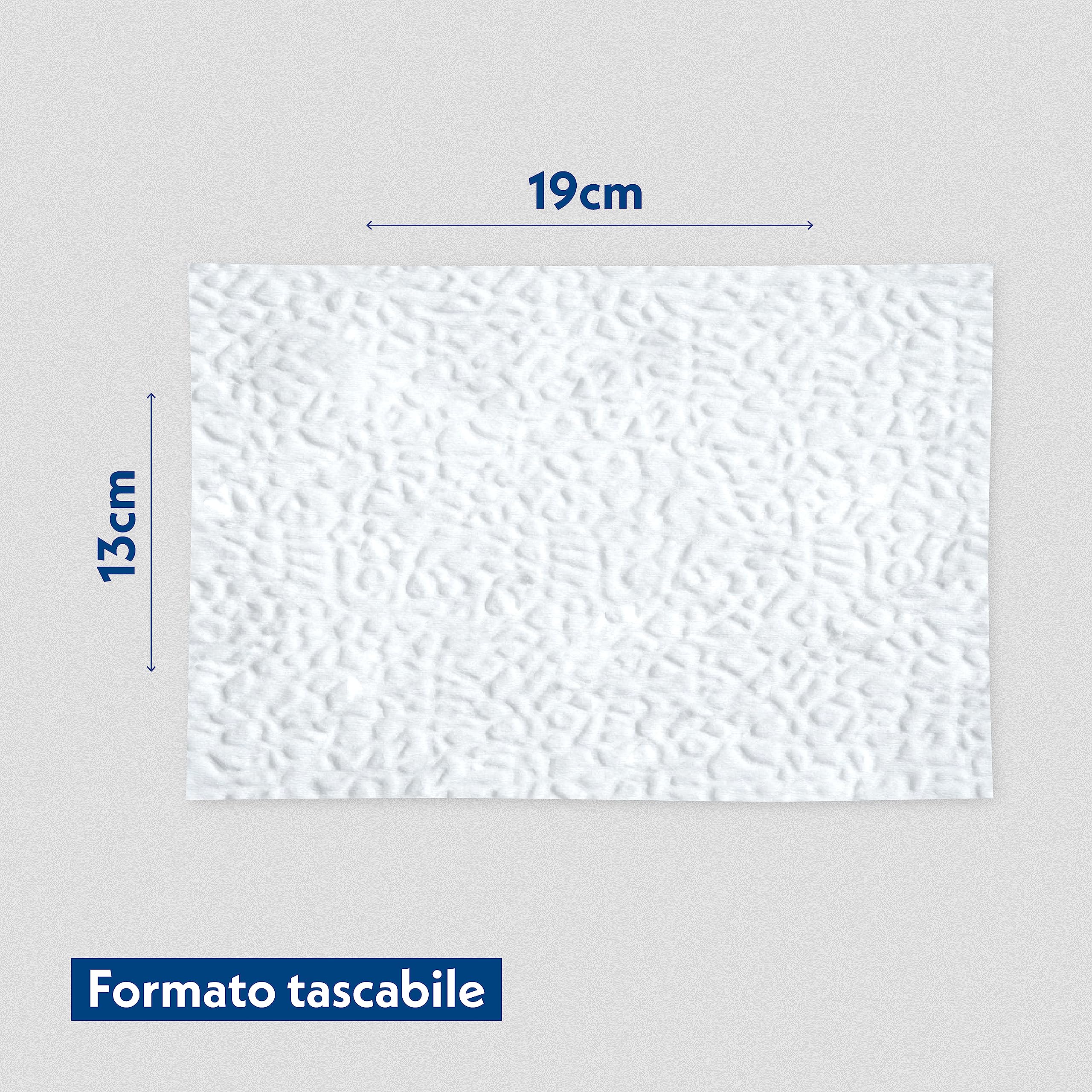 AMORE MIO | 300 Salviette Toilette alla Camomilla per Cani e Gatti, Igienizzanti e Purificanti, Lenitive e Antiodore, Intime Biodegradabili per Animali 19x13 cm - 10 Confezioni da 30 Salviettine