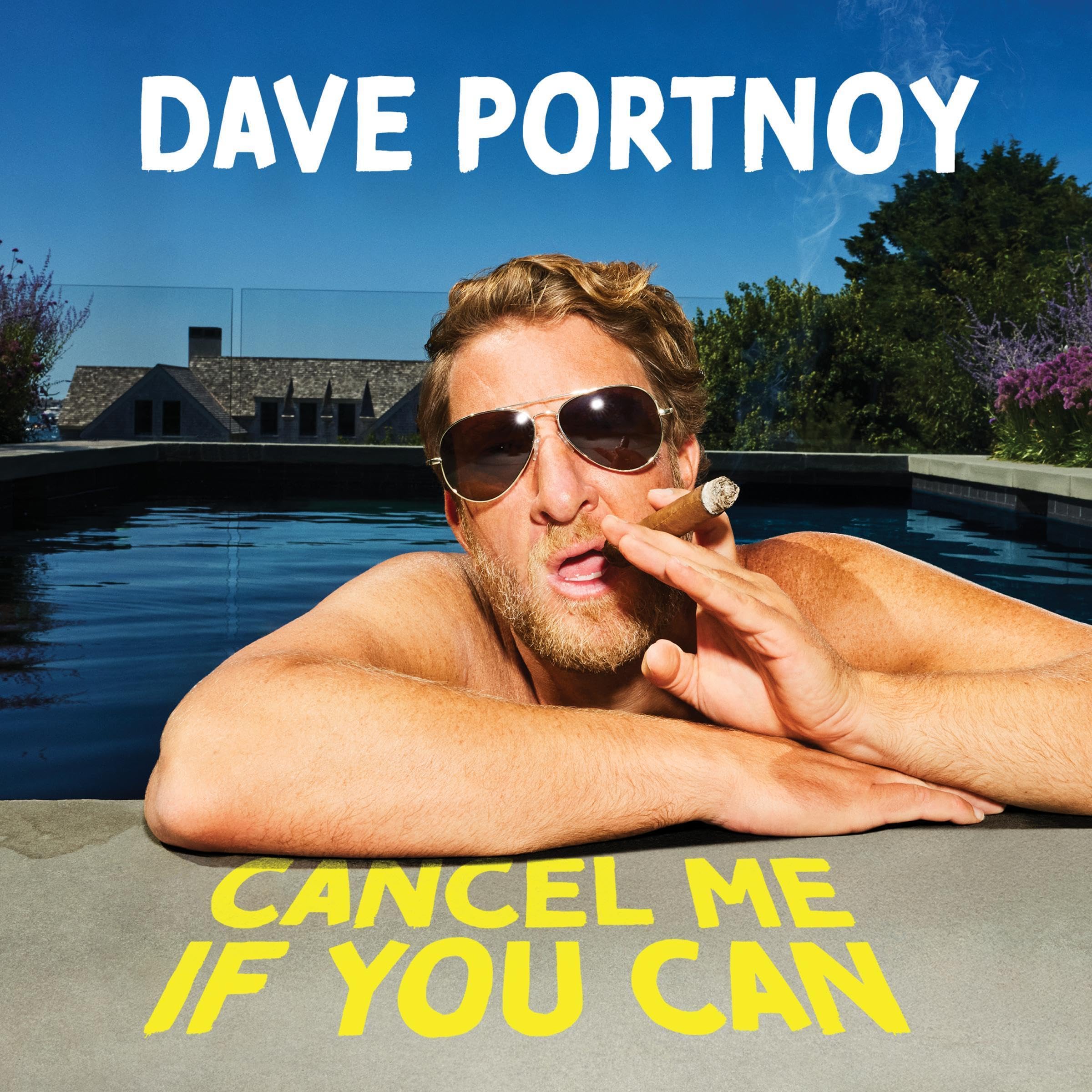 Cover art for Cancel Me If You Can