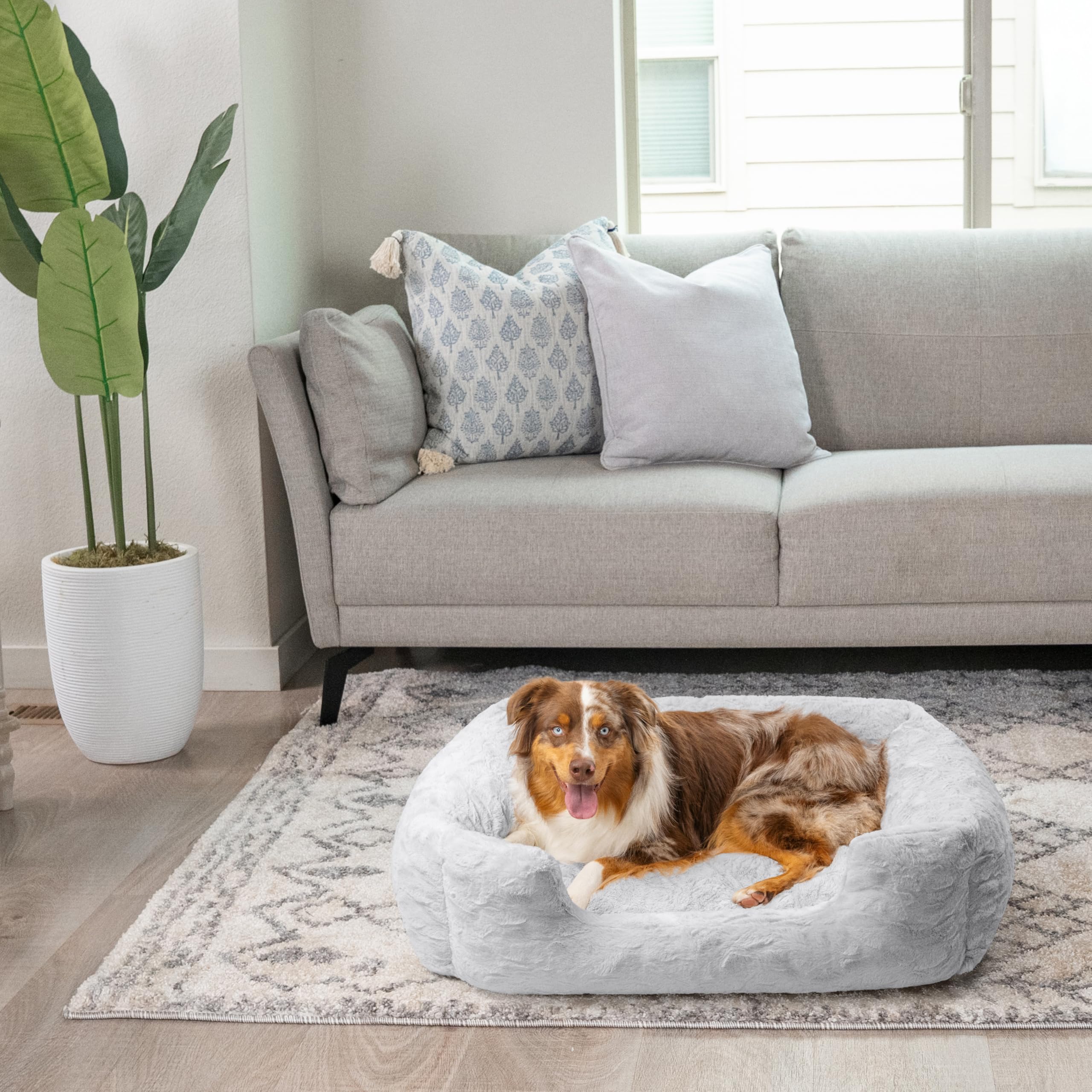 Best Friends by Sheri Soothe & Snooze Lounge Lux Memory Foam Rectangular Dog Bed, Washable, Grey, Large 36" x 27"
