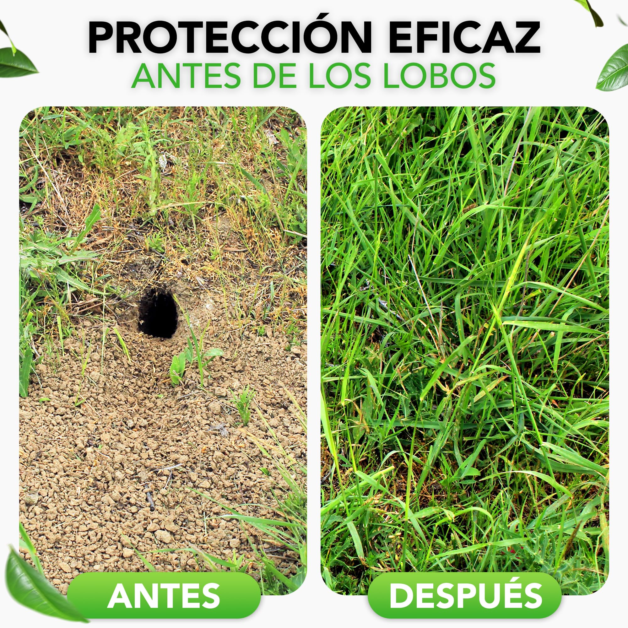 LAINFELD Rejilla de Alambre de Malla Fina | 5 x 1 Metro | Rejilla para roedores para bancales Altos con Malla de 6,3 mm | Alambre para Conejos para aviarios