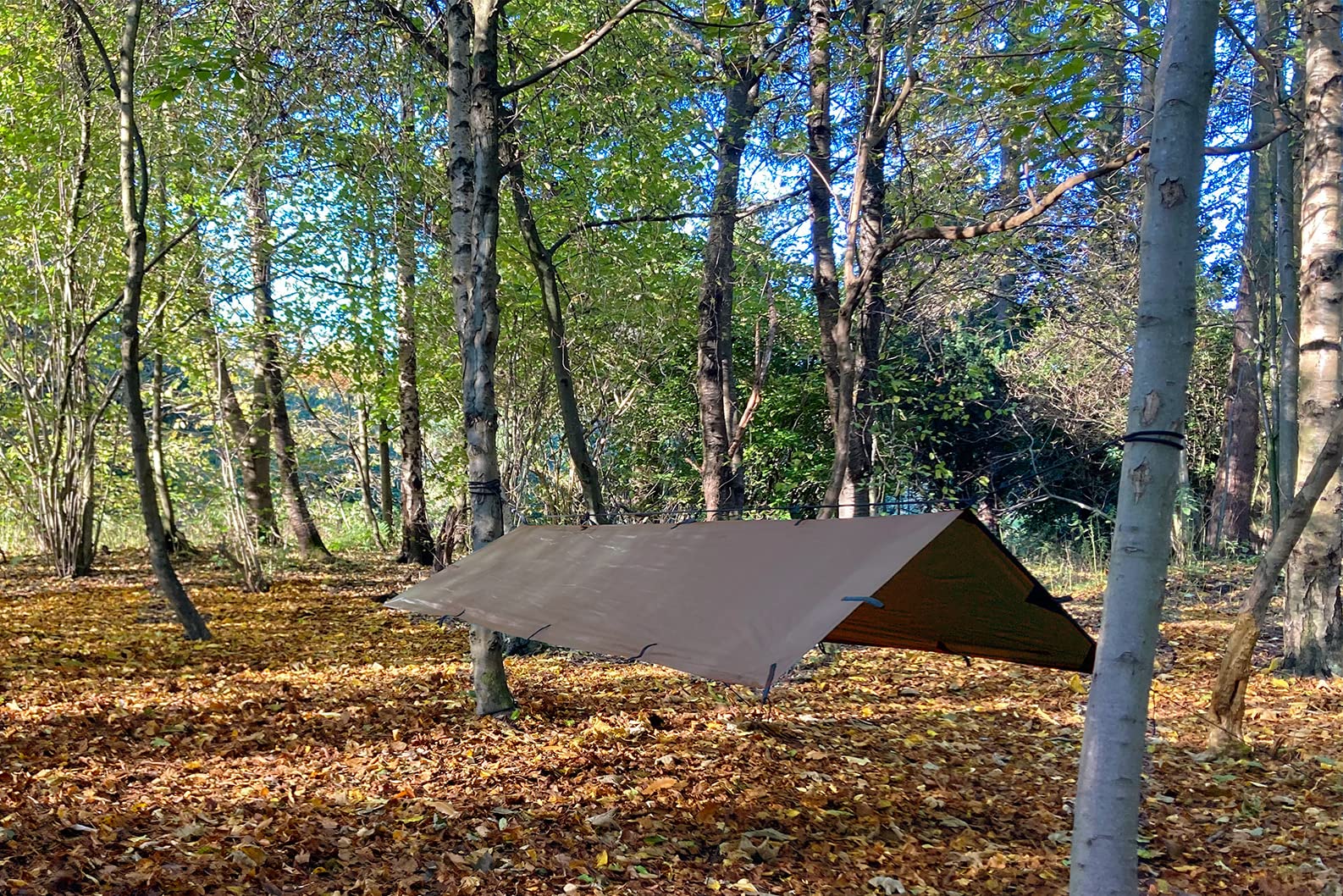 Amazon | DD Hammocks DD タープ S (コヨーテブラウン）日本正規品 