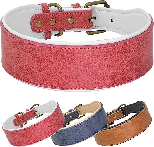 Beirui Collar de perro de cuero resistente de 2 pulgadas de ancho para perros medianos, grandes y extragrandes, collar de perro de cuero grueso con
