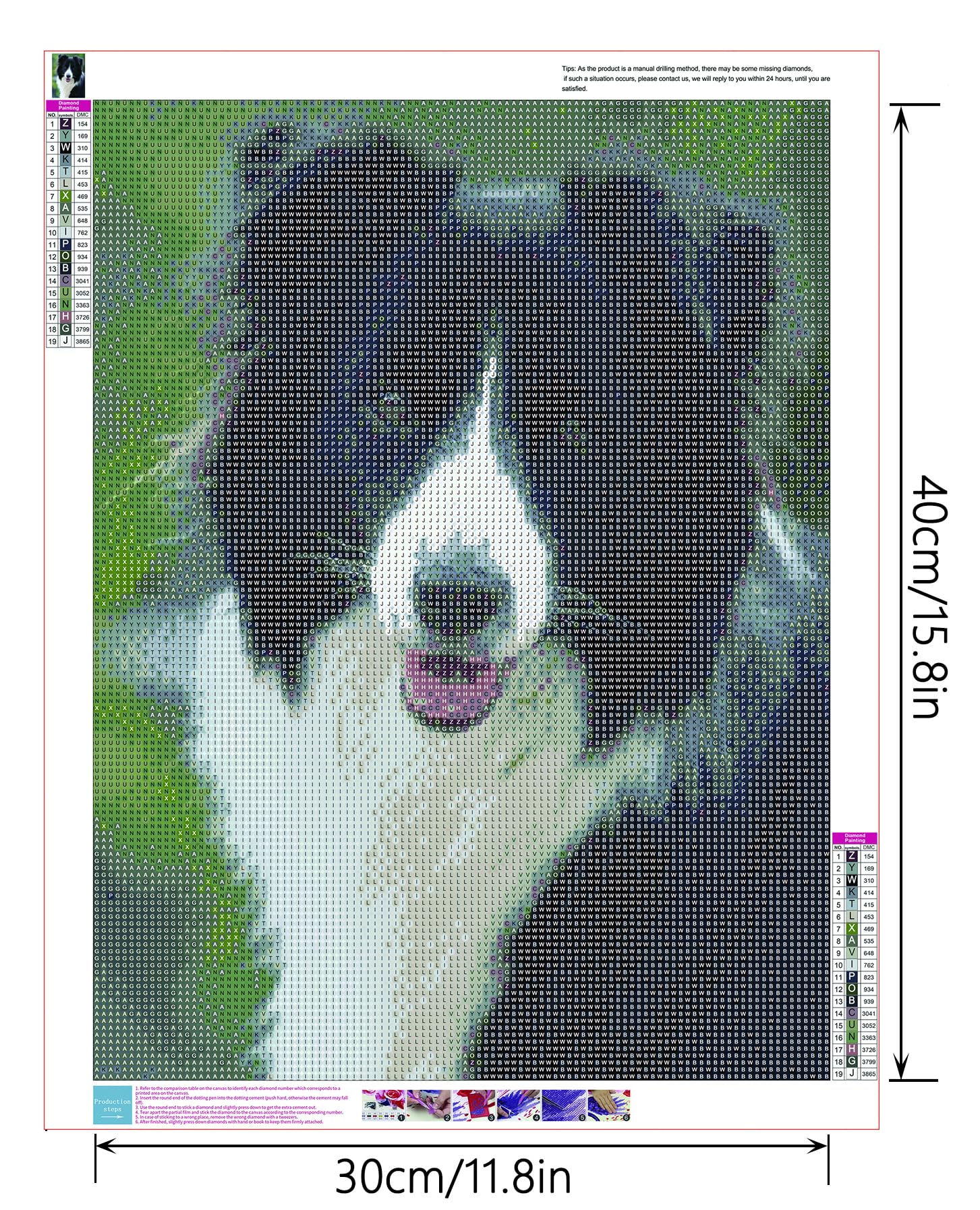 Dipema Diamond Painting,Chihuahua Bianco Do,5d Diamond Painting Kit Completo per Bambini Adulti,DIY Strass Ricamo Pittura Diamante Kit per Casa Decorazione Murale-30cmx40cm
