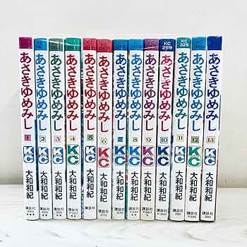 大和和紀 34冊 あさきゆめみし(源氏物語)全13巻＋はいからさんが通る 全7巻 大和和紀 34冊 あさきゆめみし(源氏物語)全13巻＋はいからさんが通る