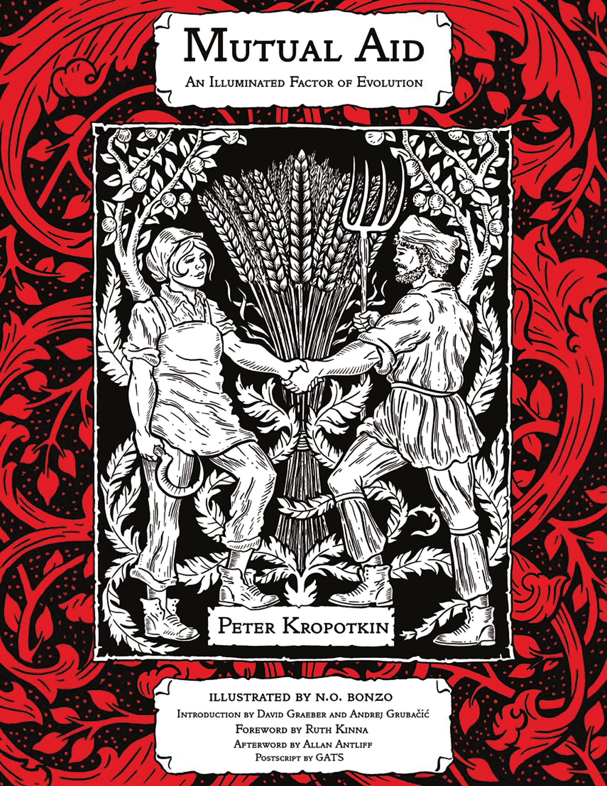 Buy Mutual Aid: An Illuminated Factor of Evolution (Kairos) — BookShops.in