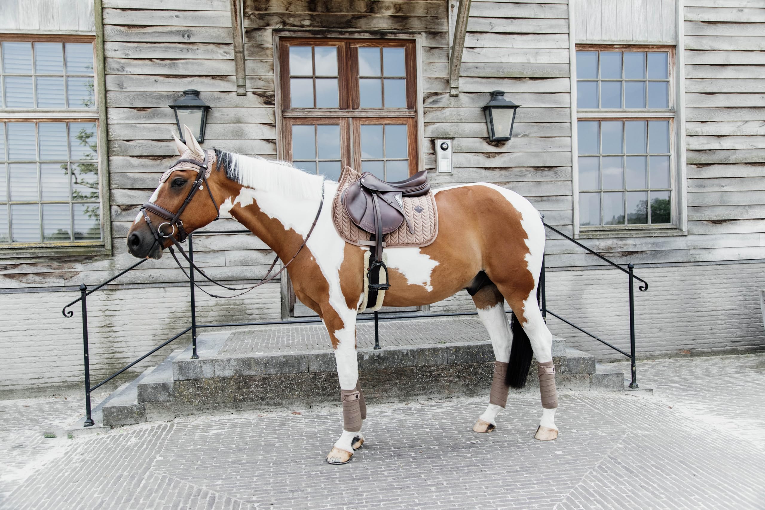 Kentucky - Schabracke Full - Beige - Samt - Springen