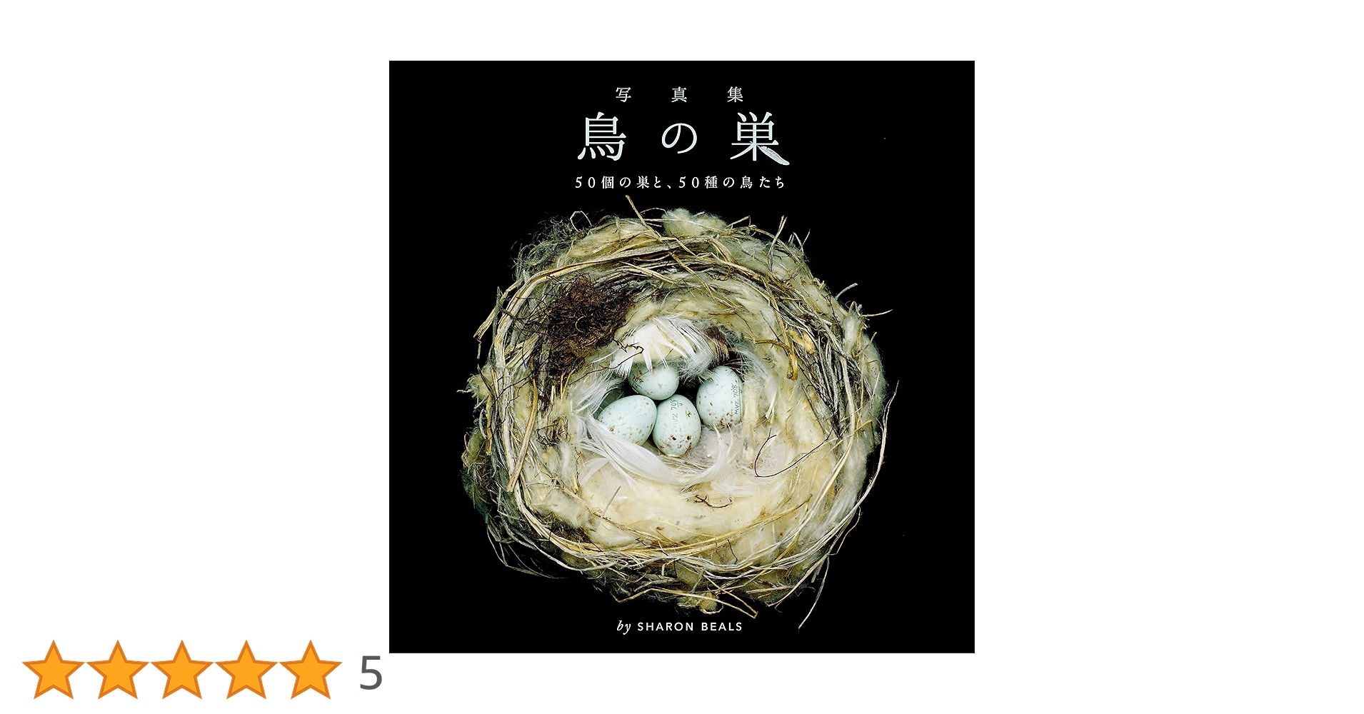 鳥の巣 50個の巣と、50種の鳥たち 写真集 写真集 鳥の巣 50個の巣と、50種の鳥たち | シャーロン