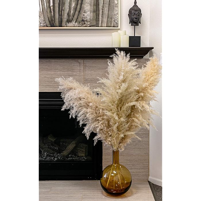 Buy Decor Geek Pampas Grass Large 3 Stems 4ft Tall Pampas Grass for