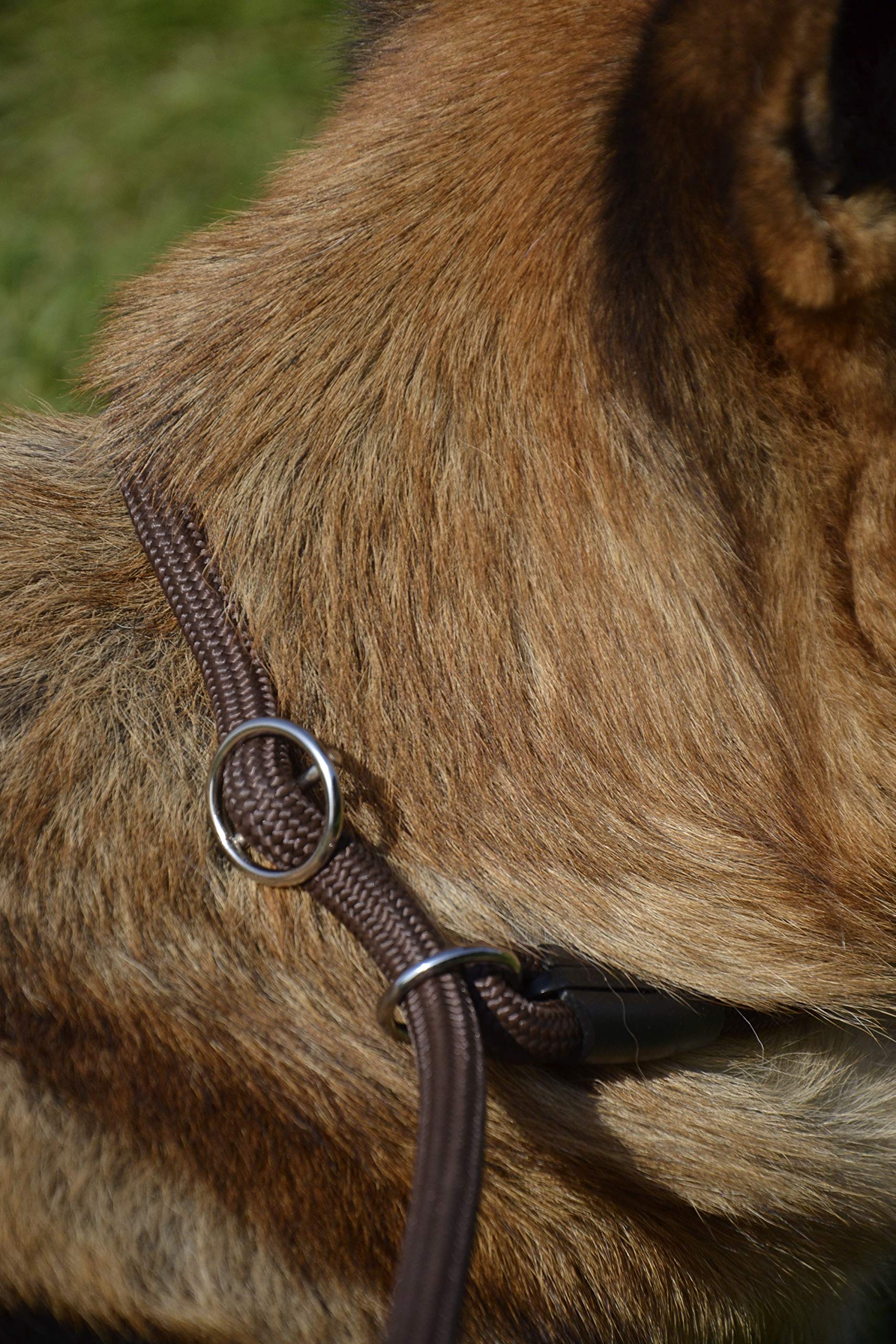 Dingo Dog Leash with Adjustable Choke Collar Made of Red Cord 10483 - Image 4