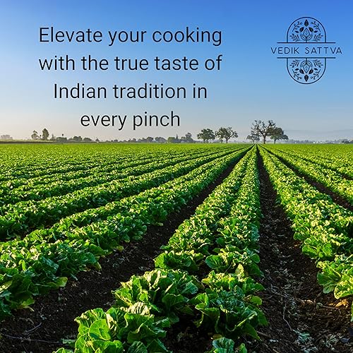 Miniatura 4 de Vedik Sattva Natural Pani Puri Masala 1 onza  28.35 GM  Paquete de 1 caja
