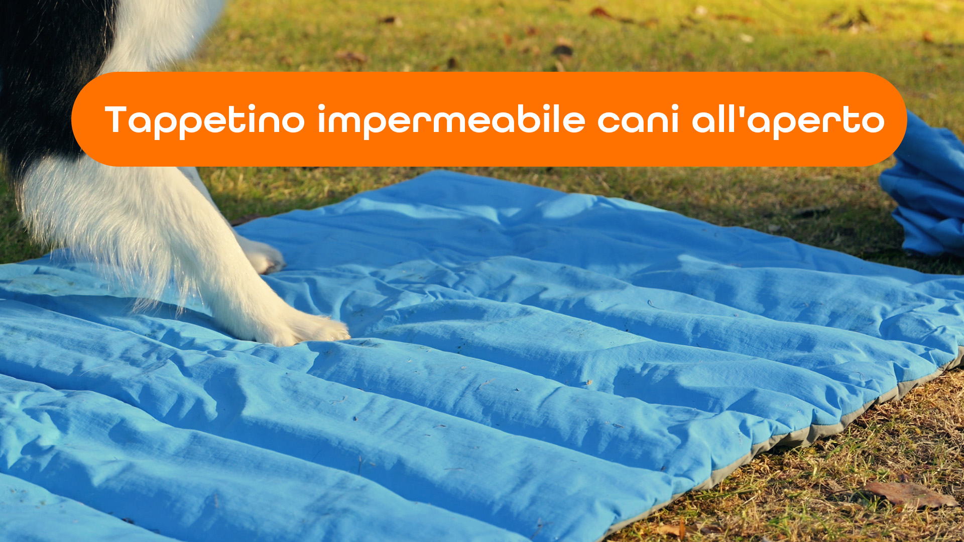 Cuccia Per Cane Grande Pieghevole 110x68 Cm - Impermeabile, Lavabile, Per Interni/Esterni - Foto 8