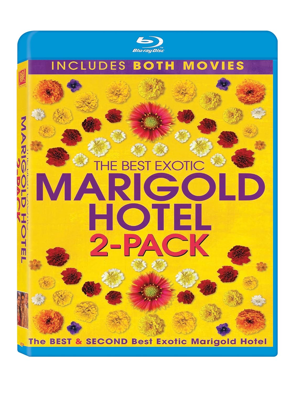 Best and Second Best Marigold Hotel Amazon.in Judi Dench, Bill Nighy
