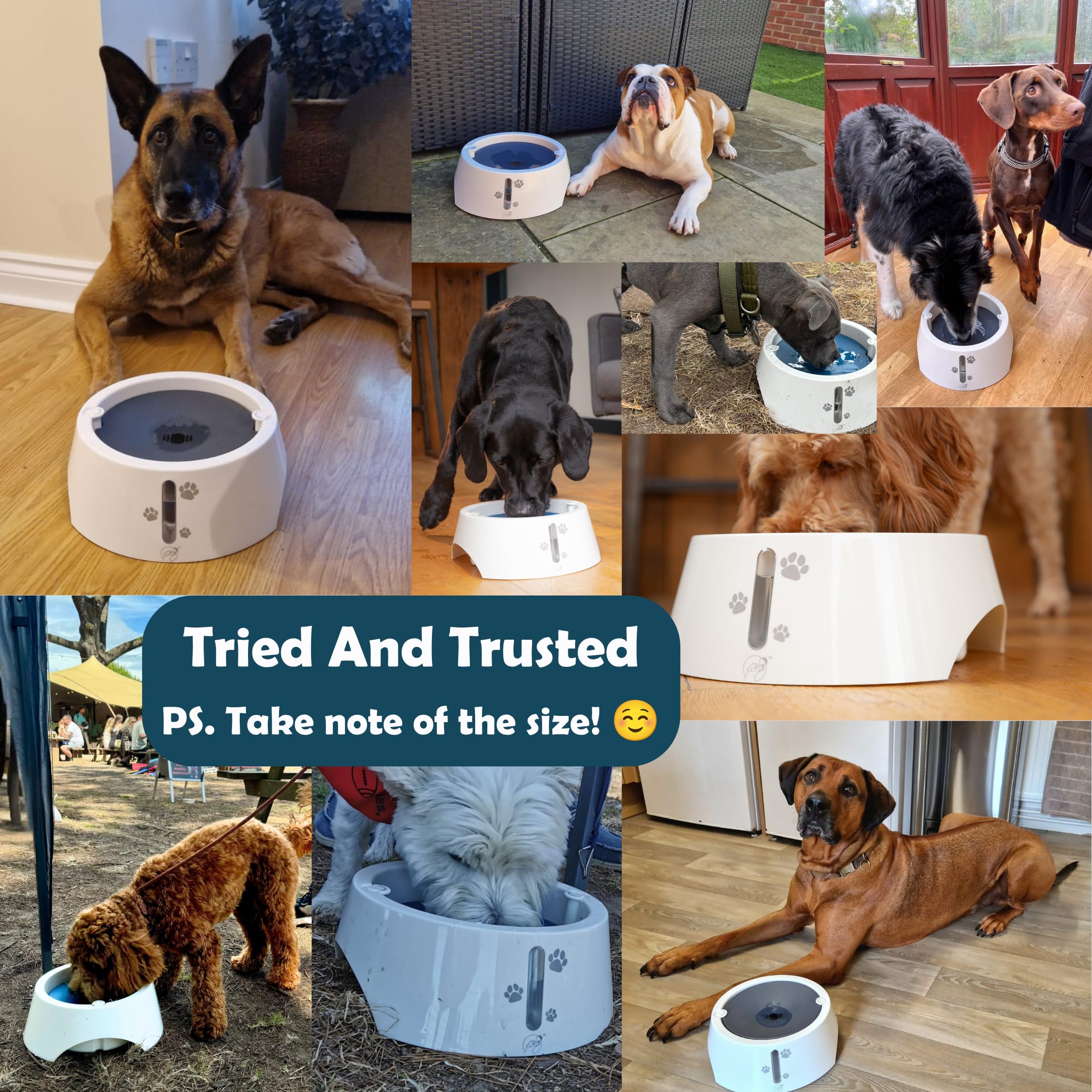 BARKING& MAD Gamelle d'eau anti-déversement pour chien de 2,1 L – Distributeur d'eau à alimentation lente anti-éclaboussures, bols blancs antidérapants et anti-basculement pour grands chiens avec de