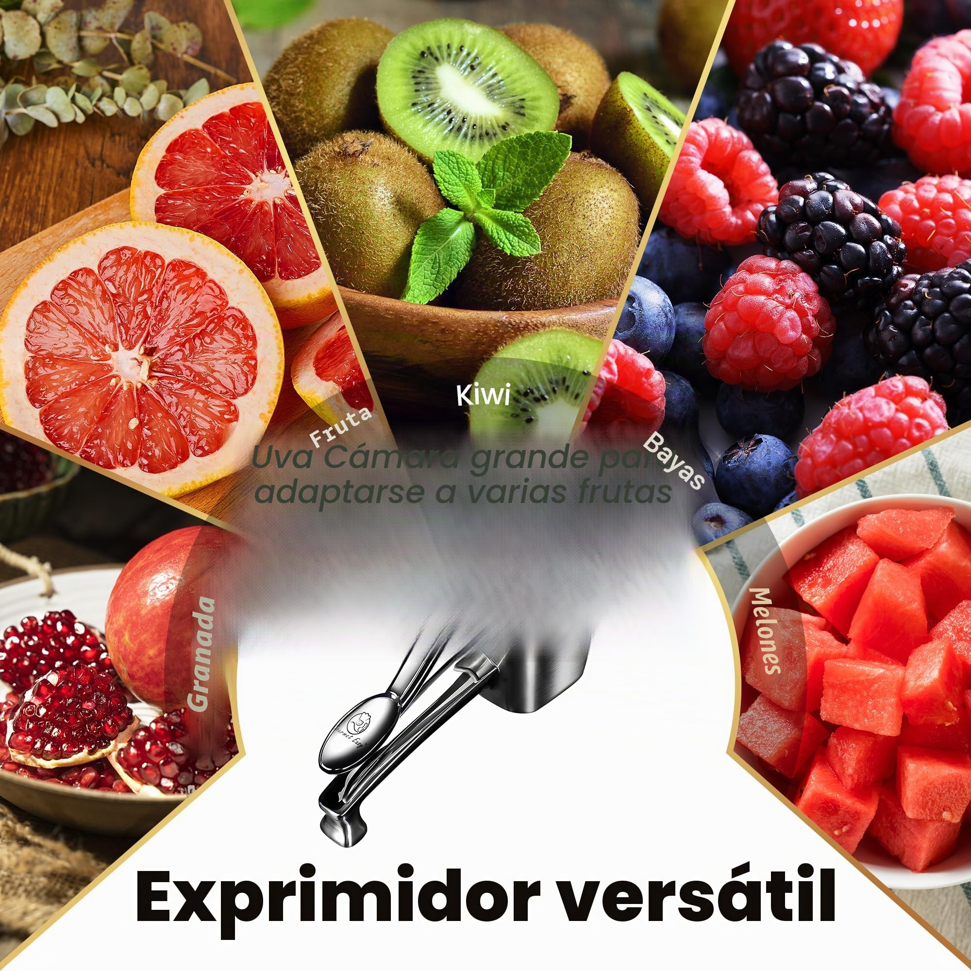 Gourmet Easy Exprimidor Manual Acero 304, para Limón y Naranja